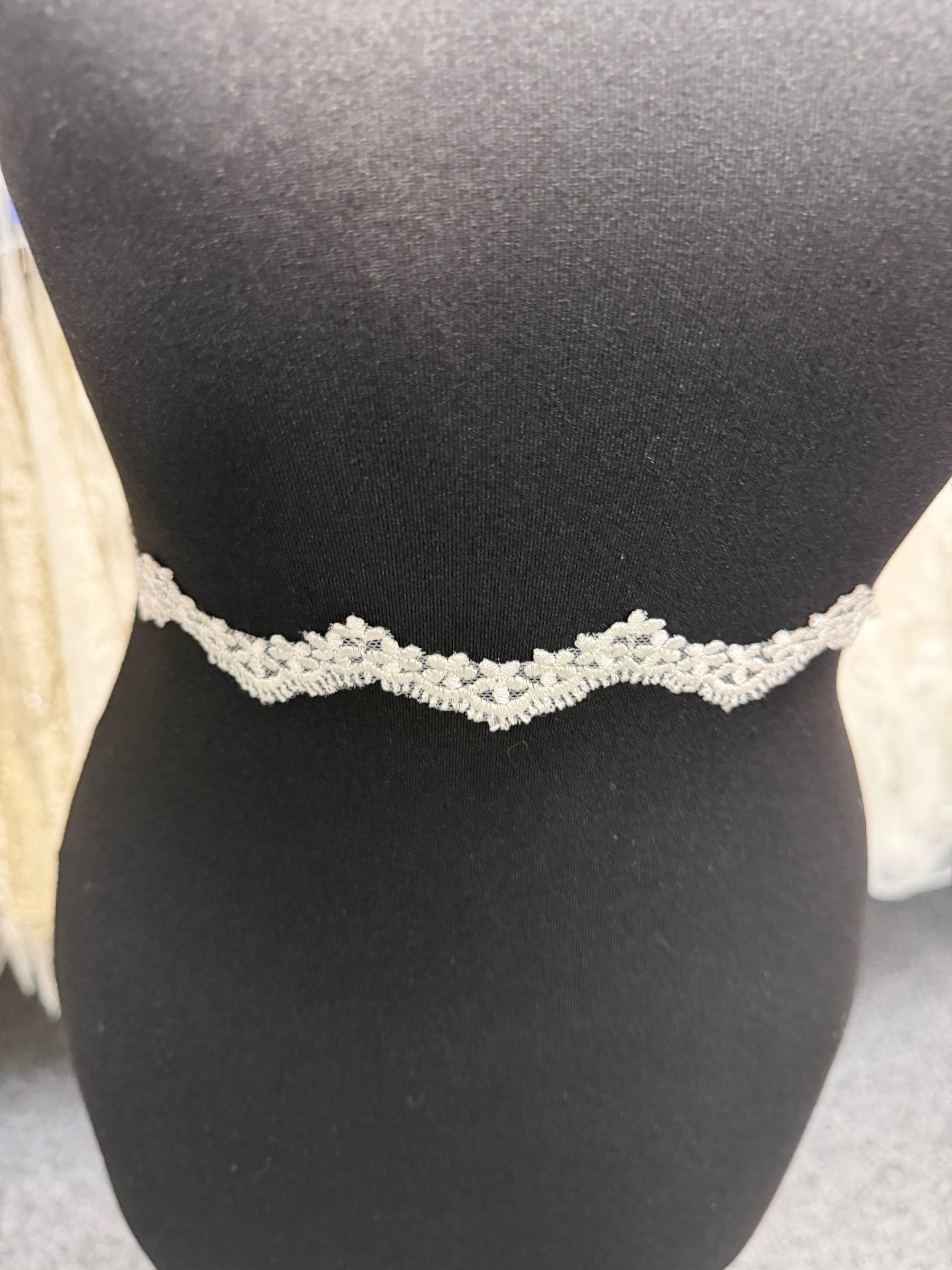 Ivory Embroidered Lace Trim - T828