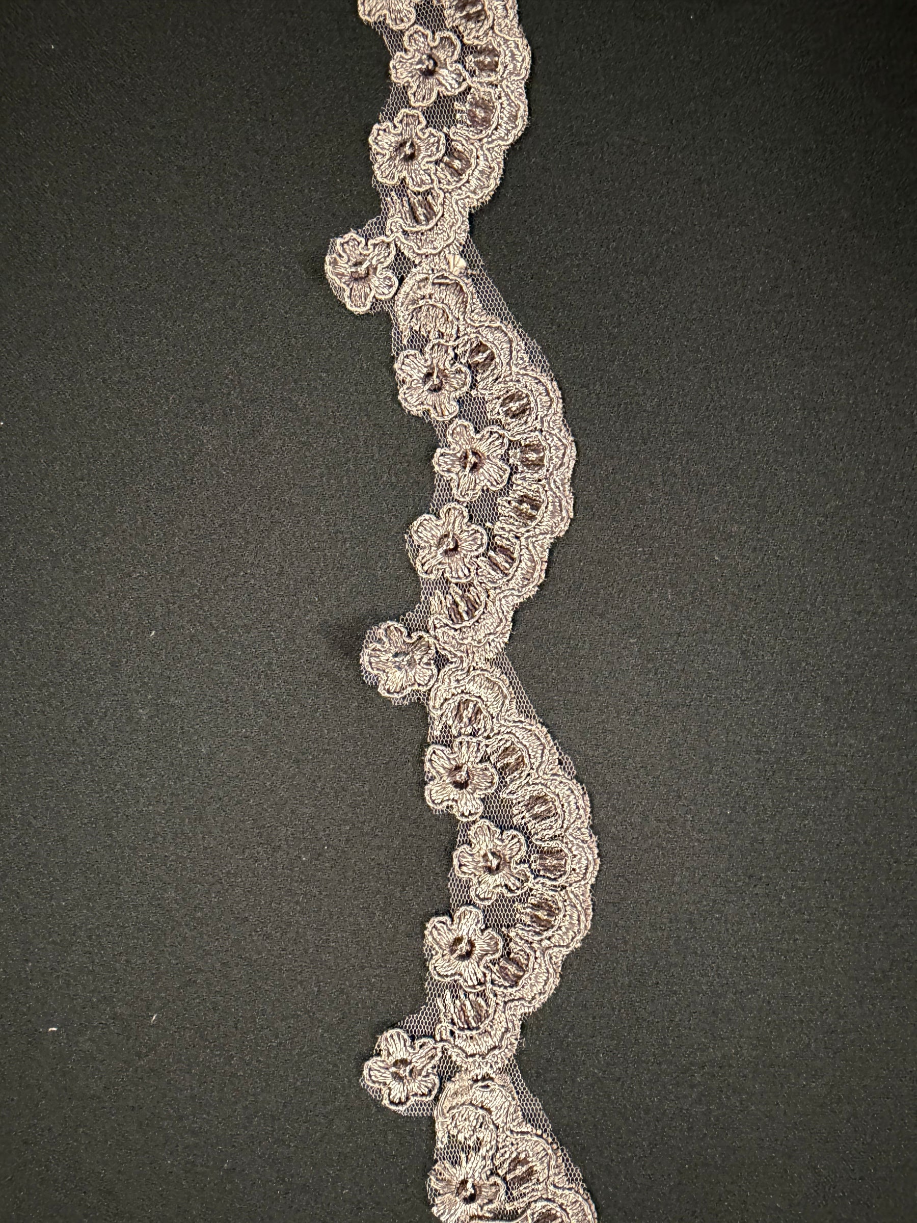 Taupe Corded Sequin Edging - T713