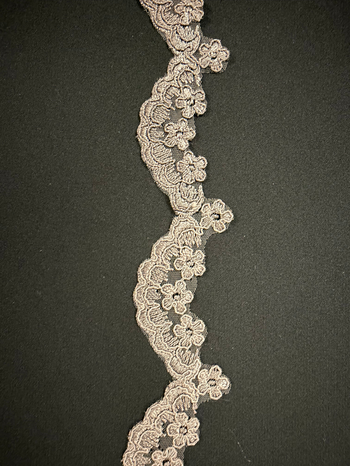 Taupe Corded Edging - T782