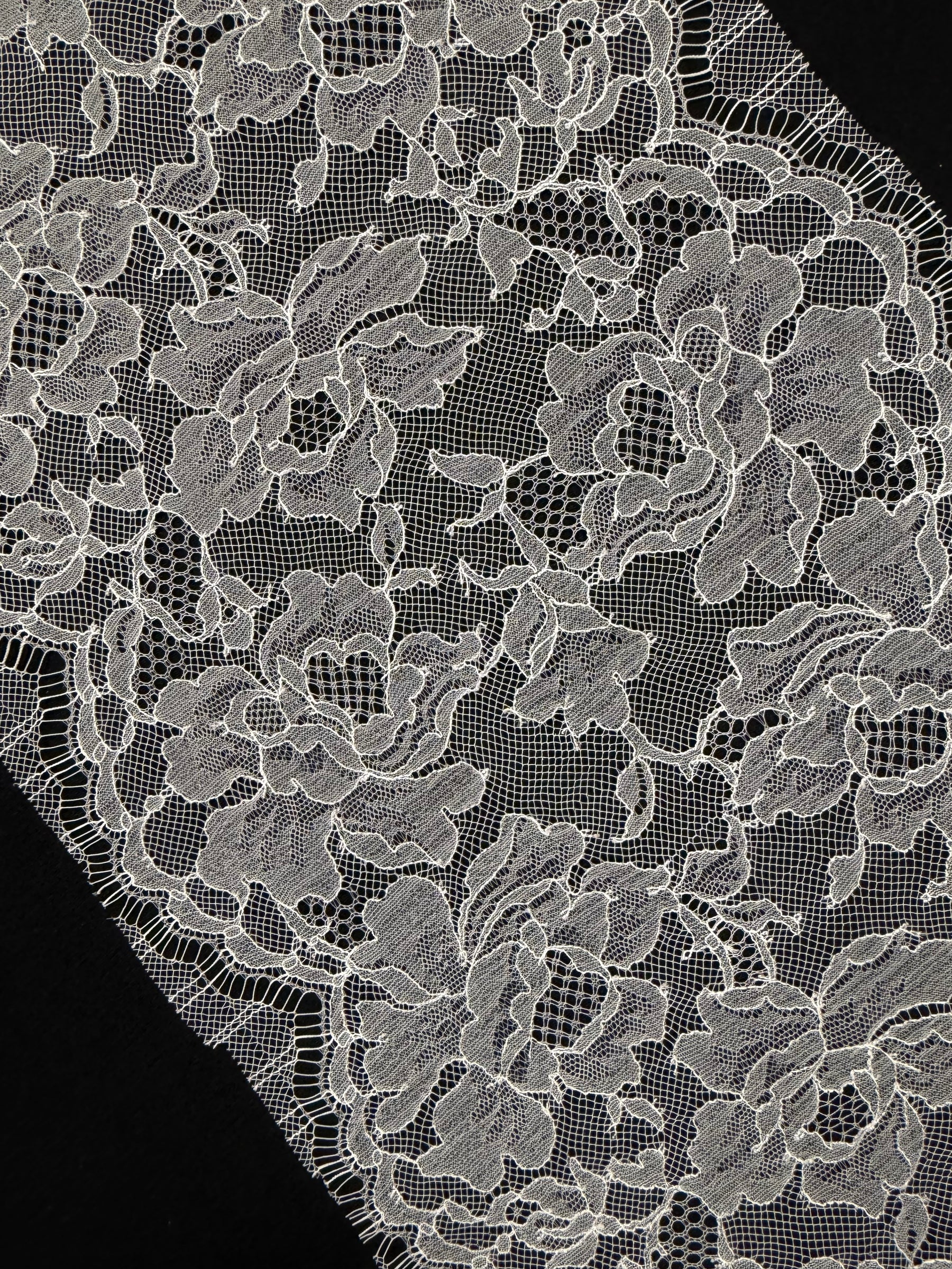Ivory French Lace Edging - T555
