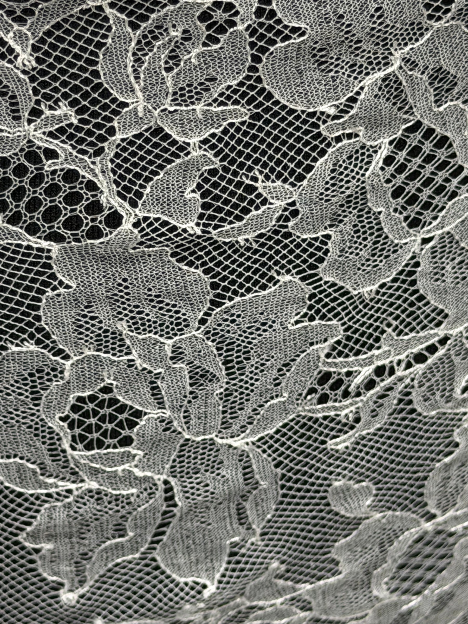 Ivory French Lace Edging - T555