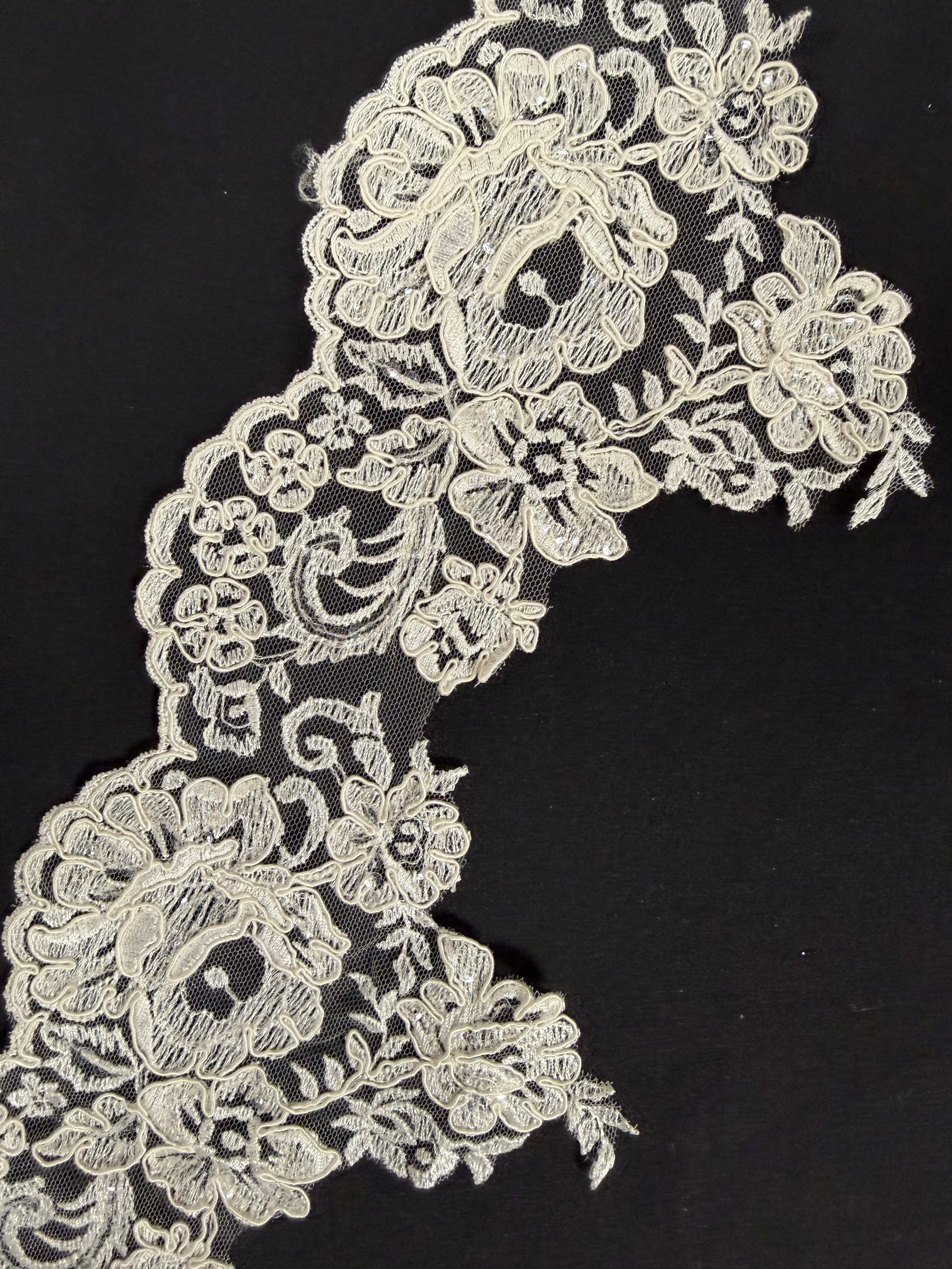Ivory Corded Lace Trim - T393