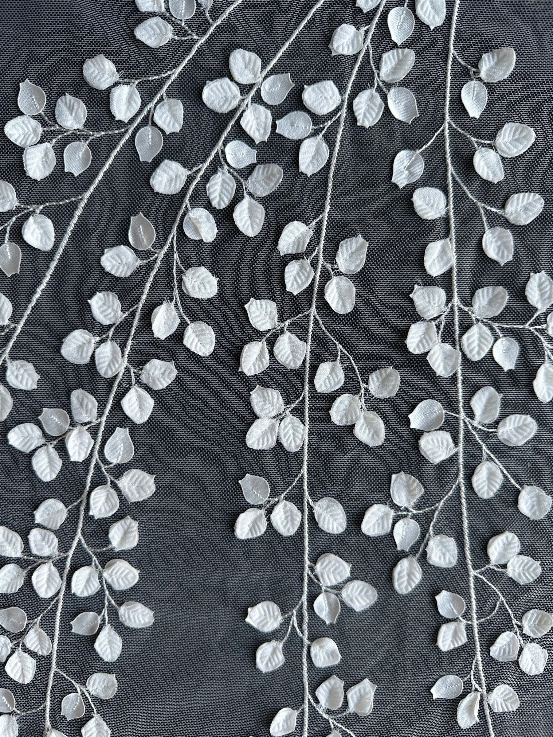 Ivory Embroidered Lace – EB5007