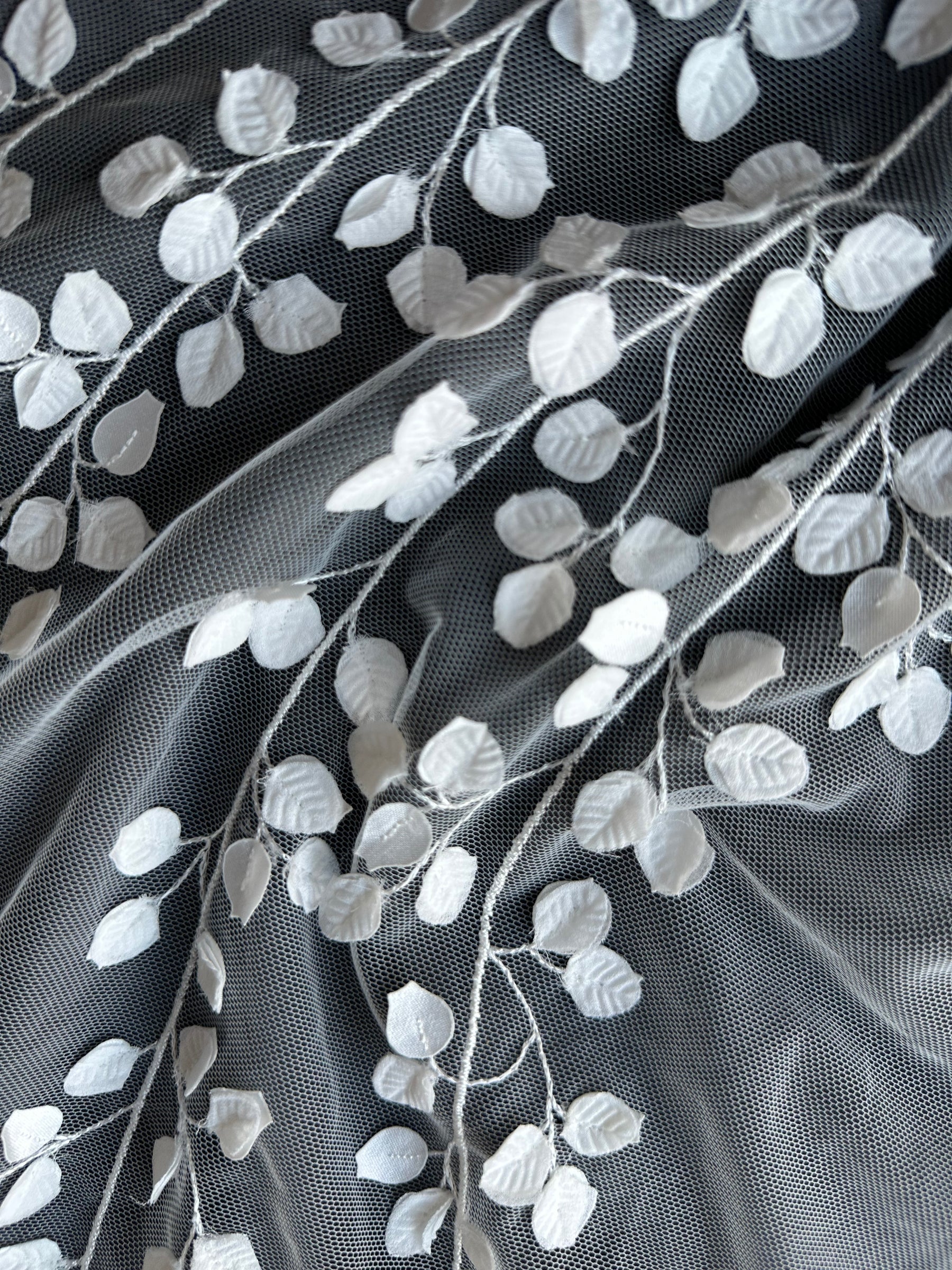 Ivory Embroidered Lace – EB5007