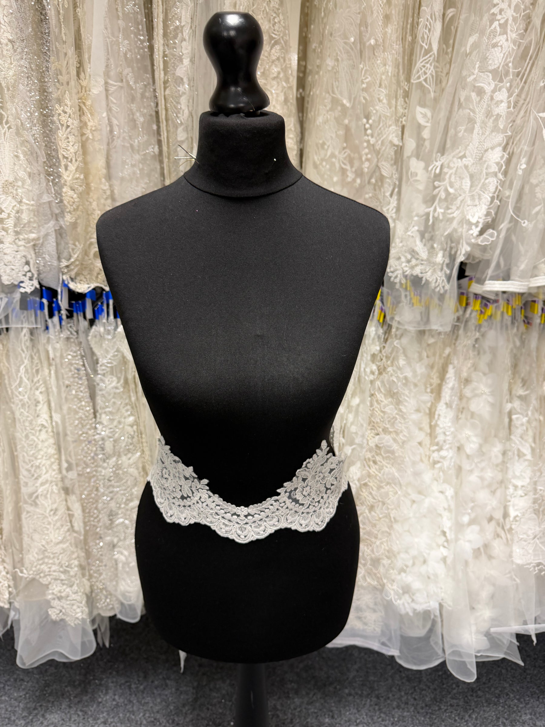Ivory Corded Lace Trim - T644