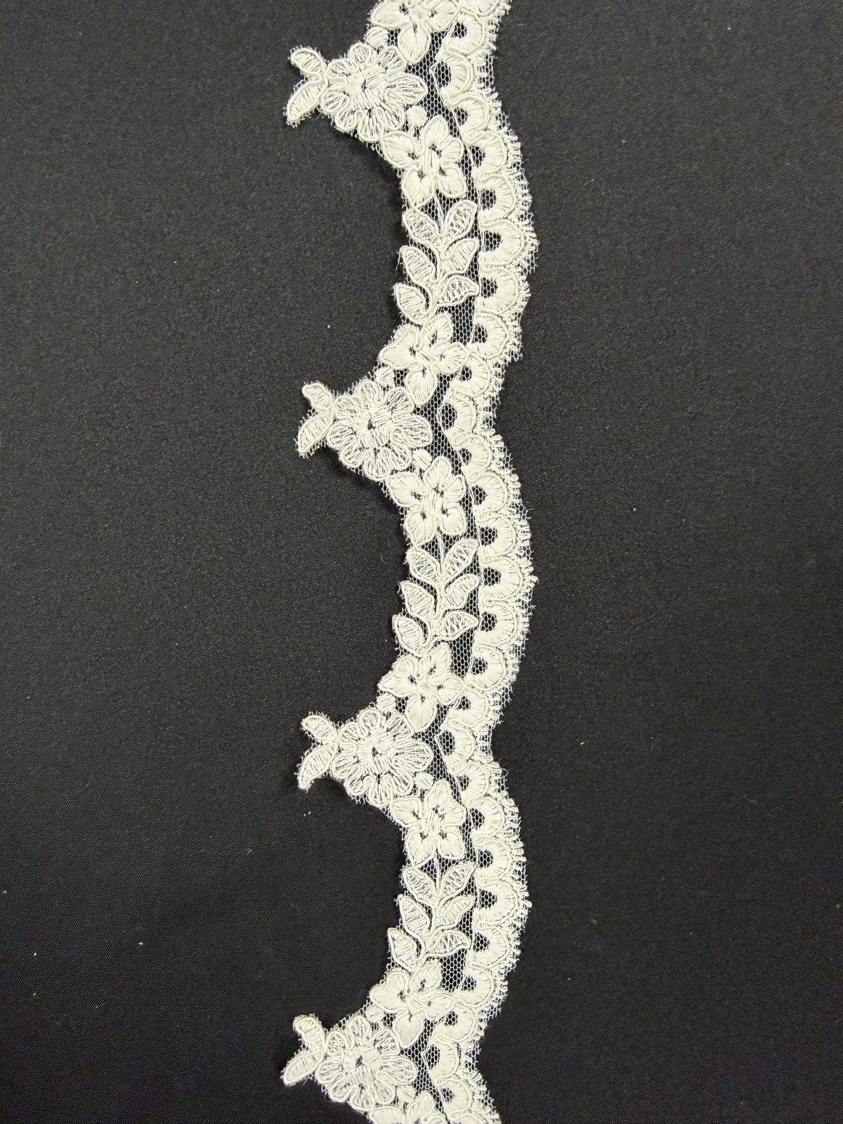 Ivory Corded Lace Trim - T662