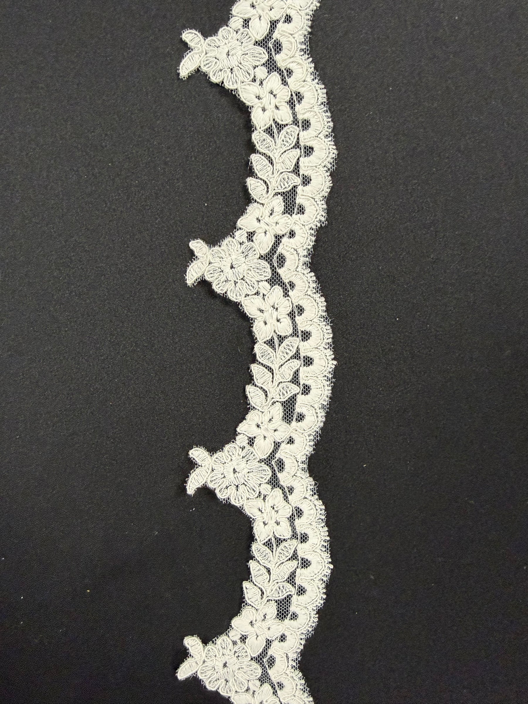 Ivory Corded Lace Trim - T662