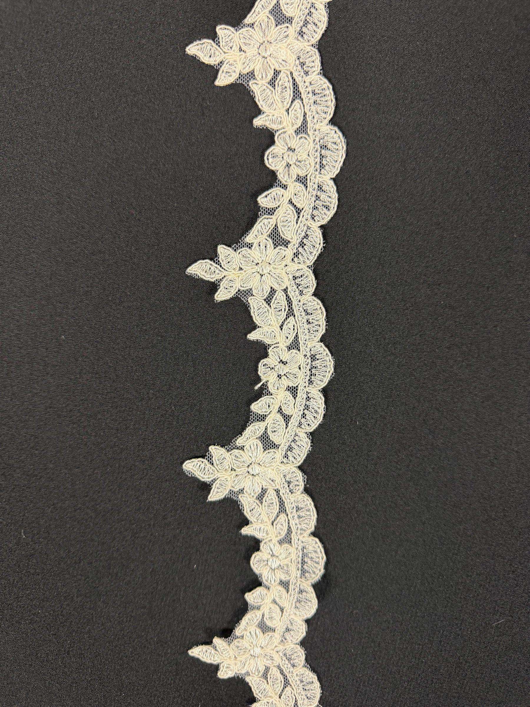 Ivory Embroidered Corded Edging - T576