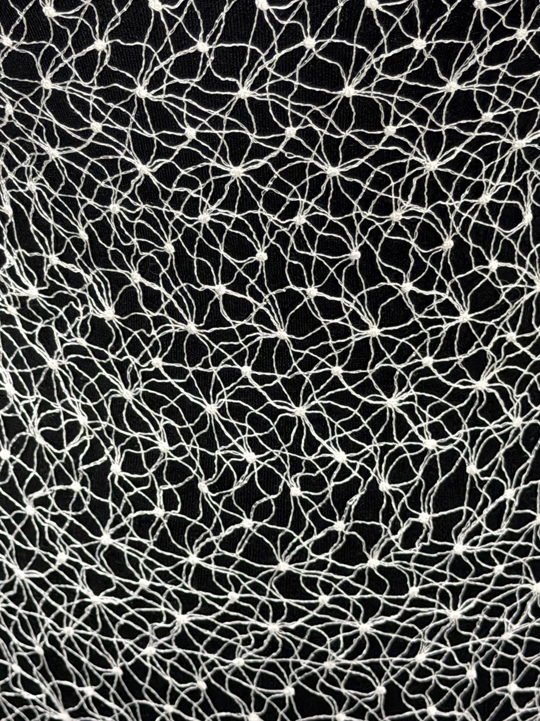 Ivory Raschel Lace - Ripley
