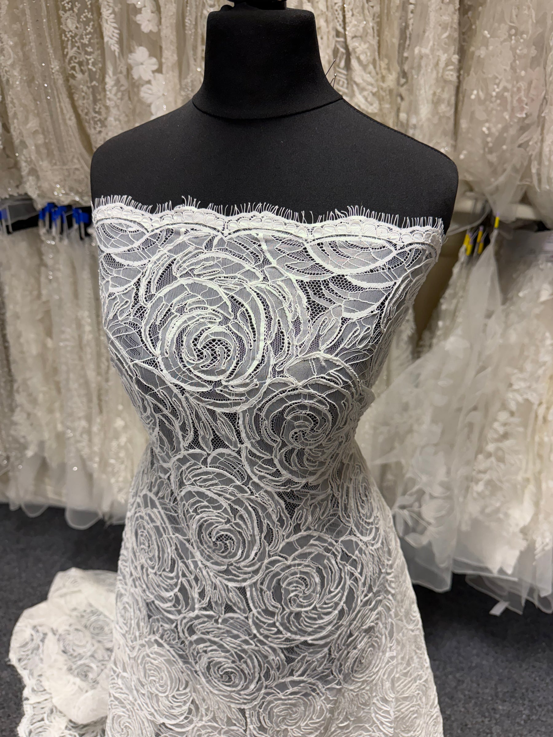 Ivory Corded Lace - Asani