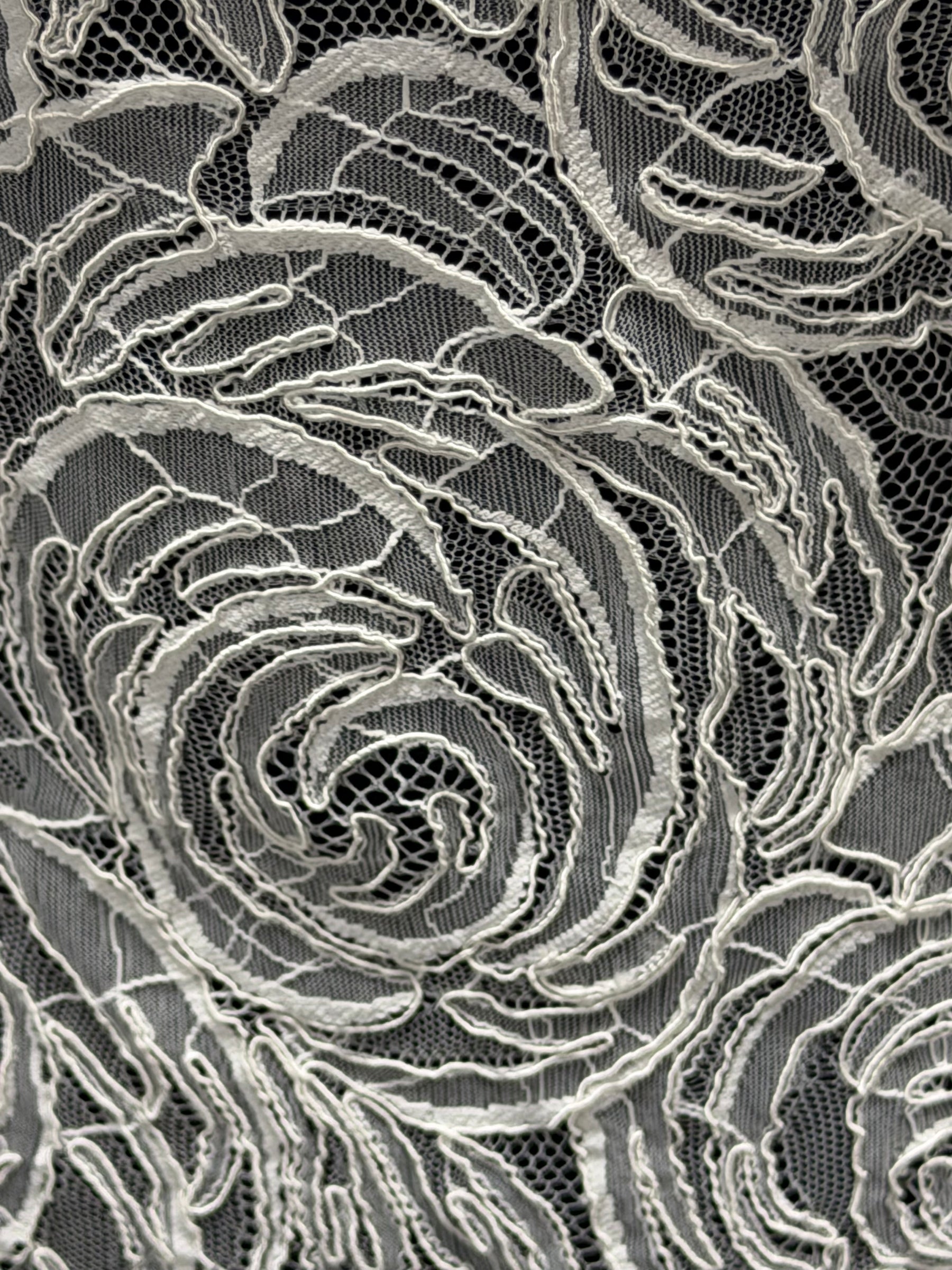 Ivory Corded Lace - Asani