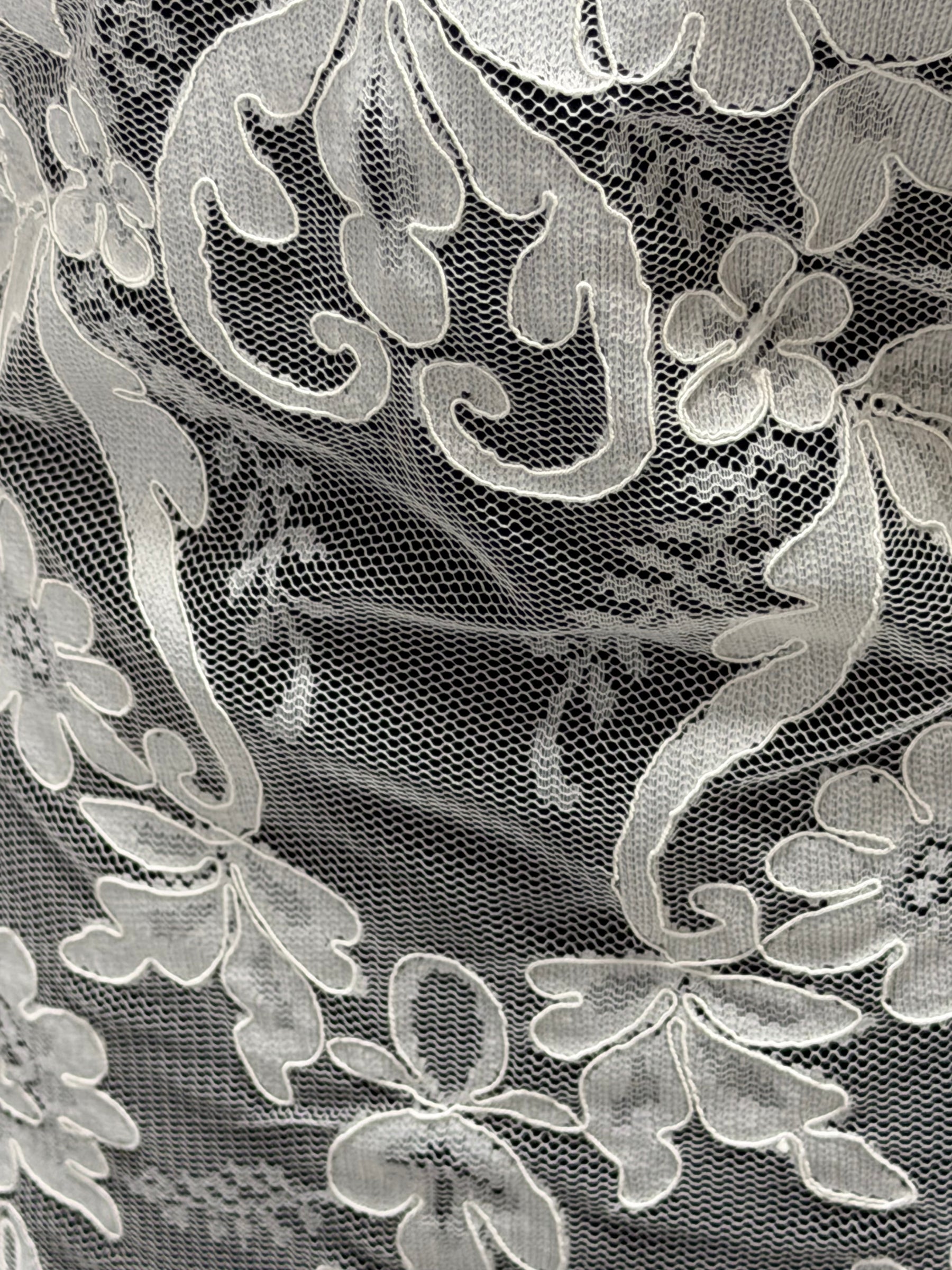 Ivory Corded Lace – Taylin