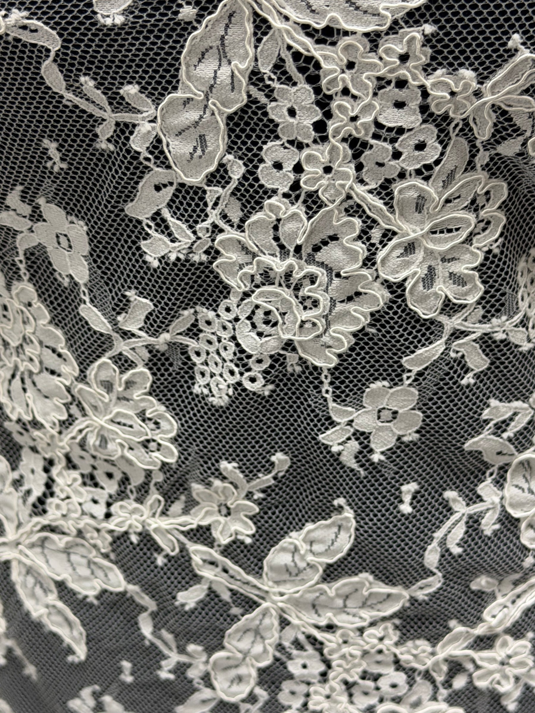 Ivory Corded Lace - Jovi