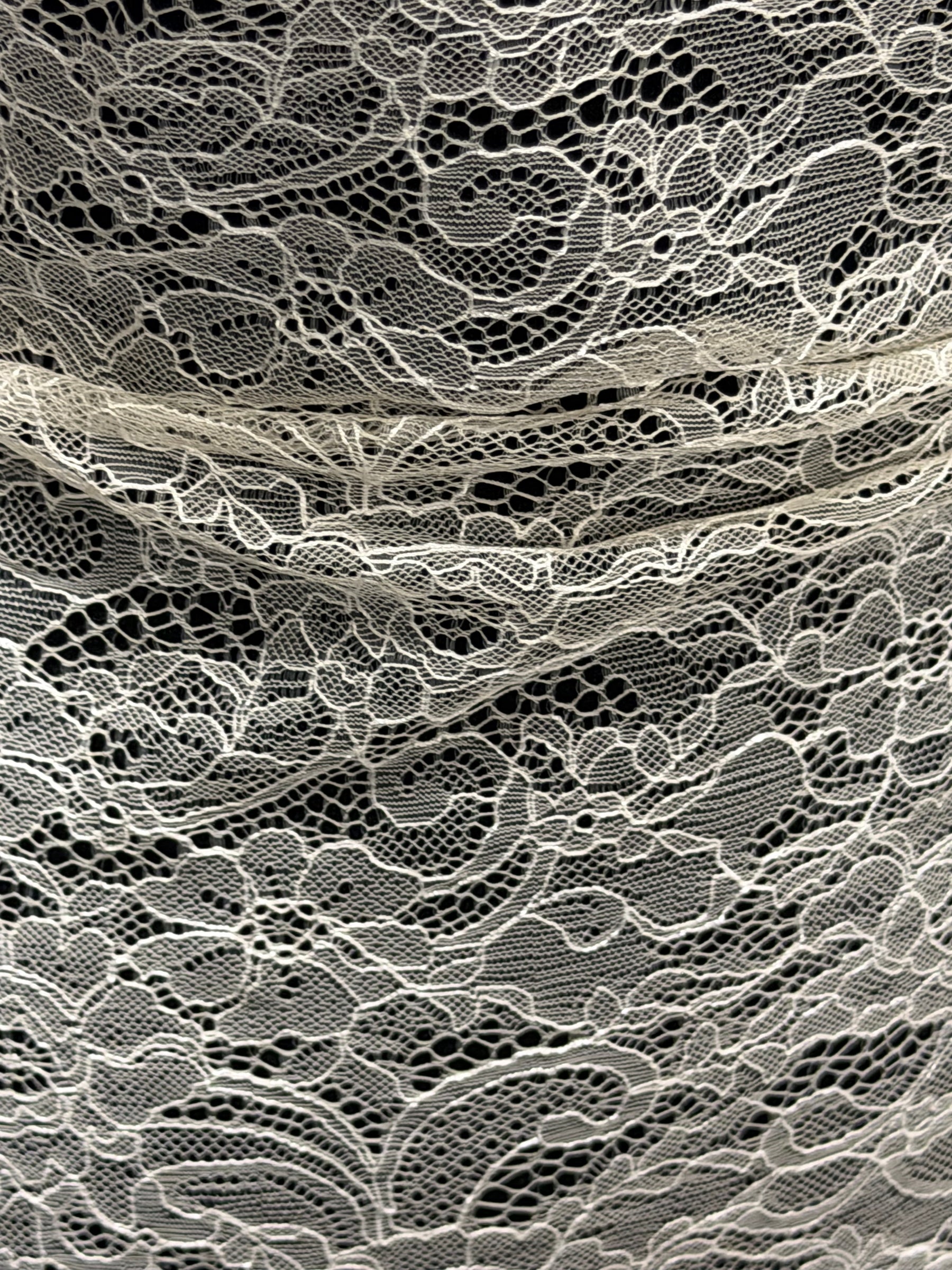 Champagne Raschel Lace - P412