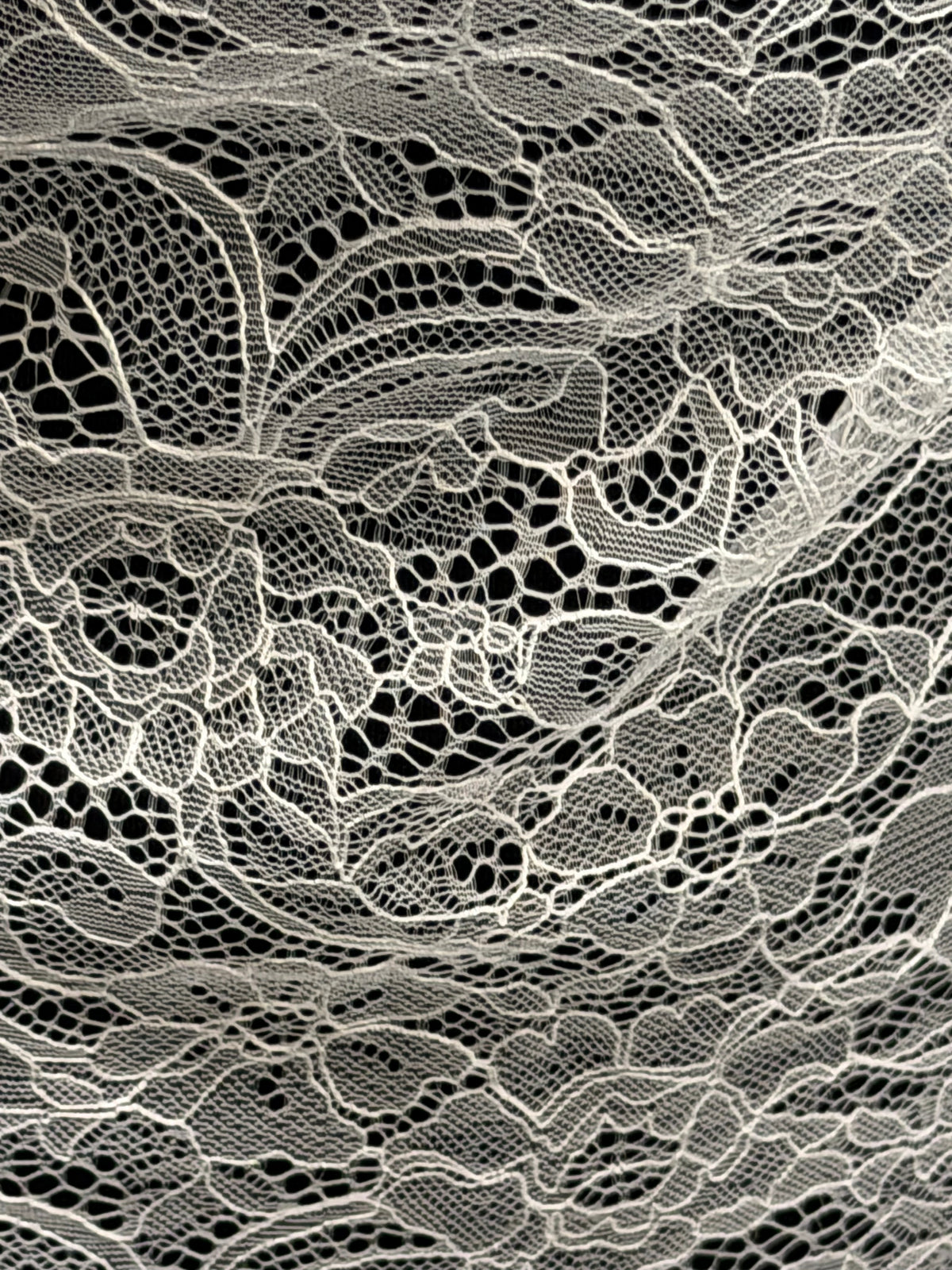 Ivory Raschel Lace - P412