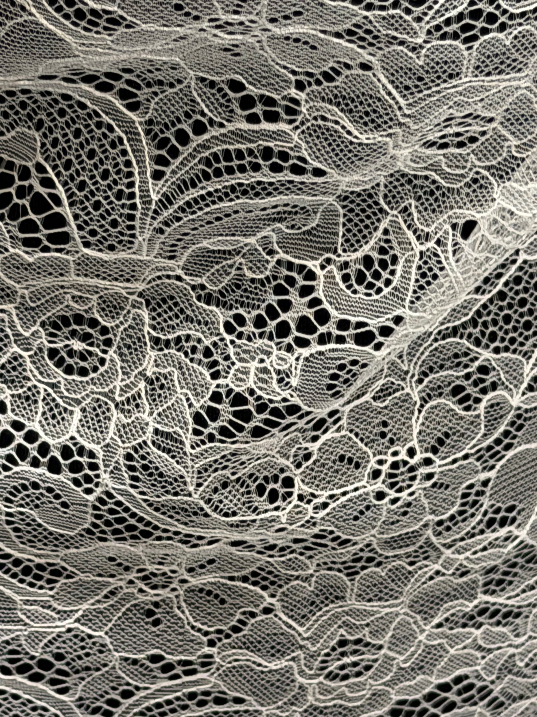 Ivory Raschel Lace - P412