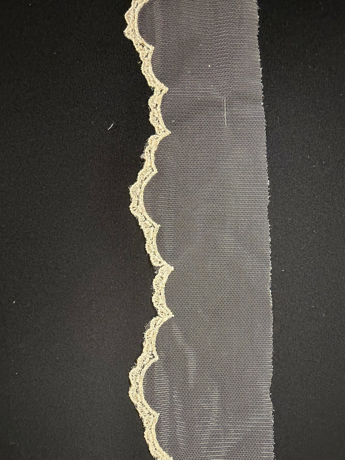 Champagne Lace Trim - T208