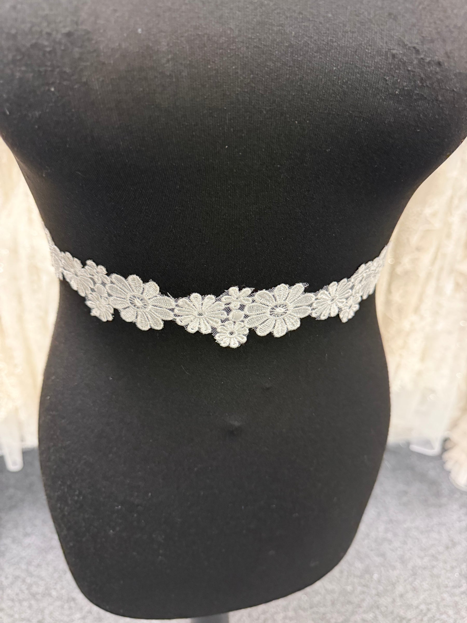 Ivory Embroidered Lace Trim - T934
