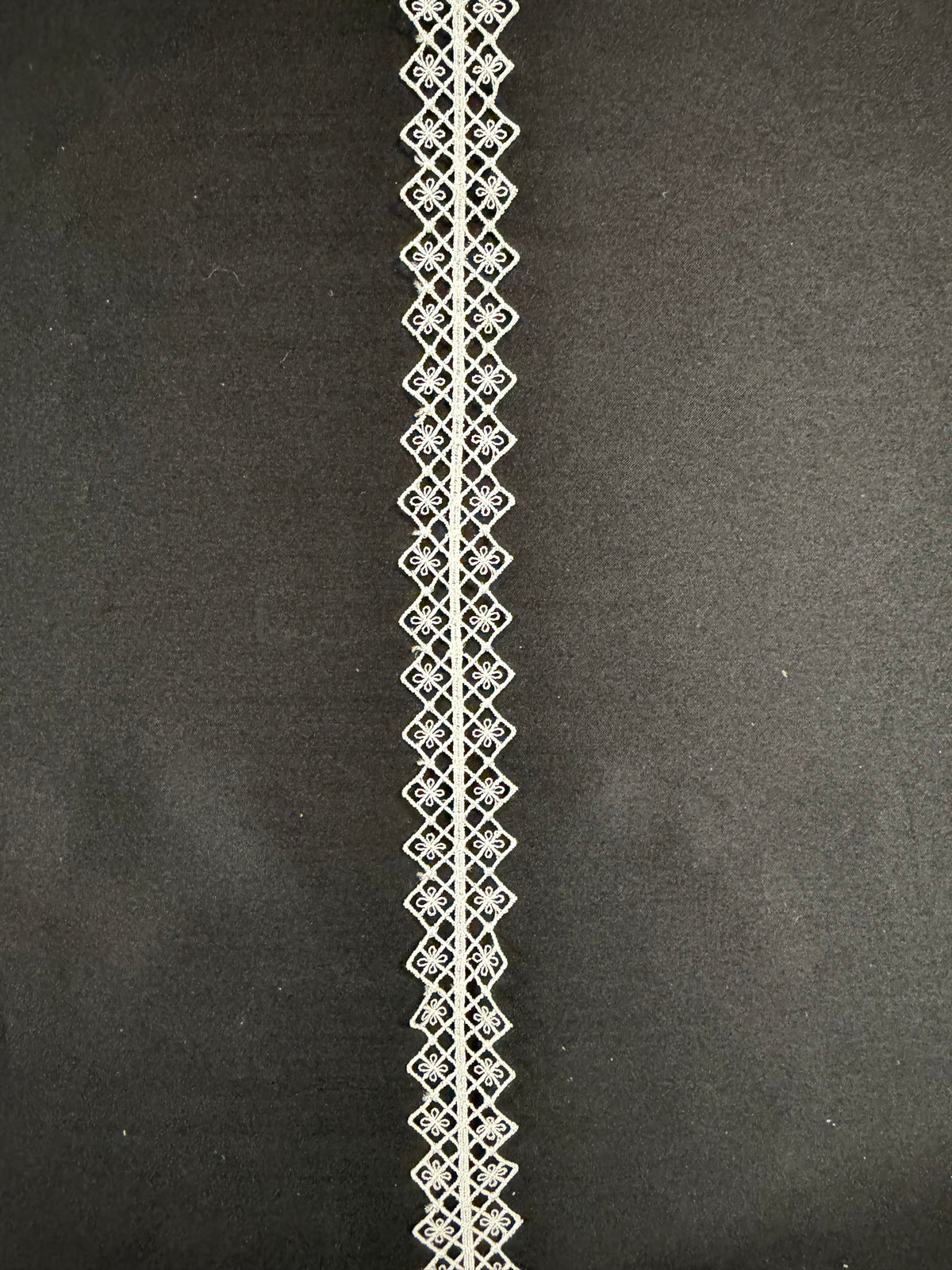Ivory Embroidered Lace Trim - T936