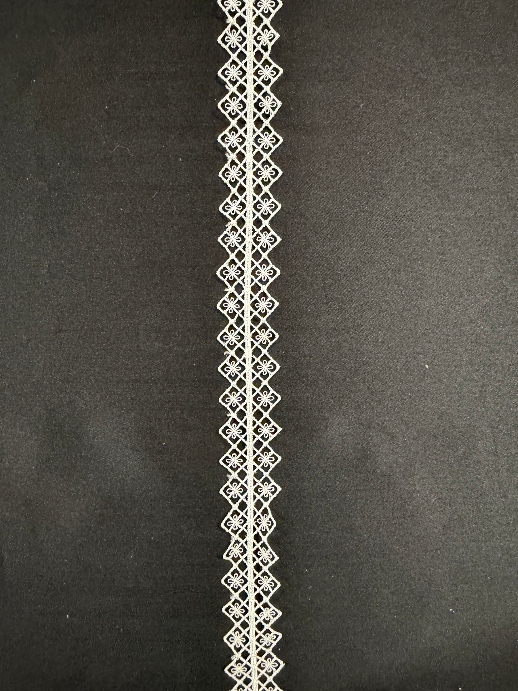 Ivory Embroidered Lace Trim - T936