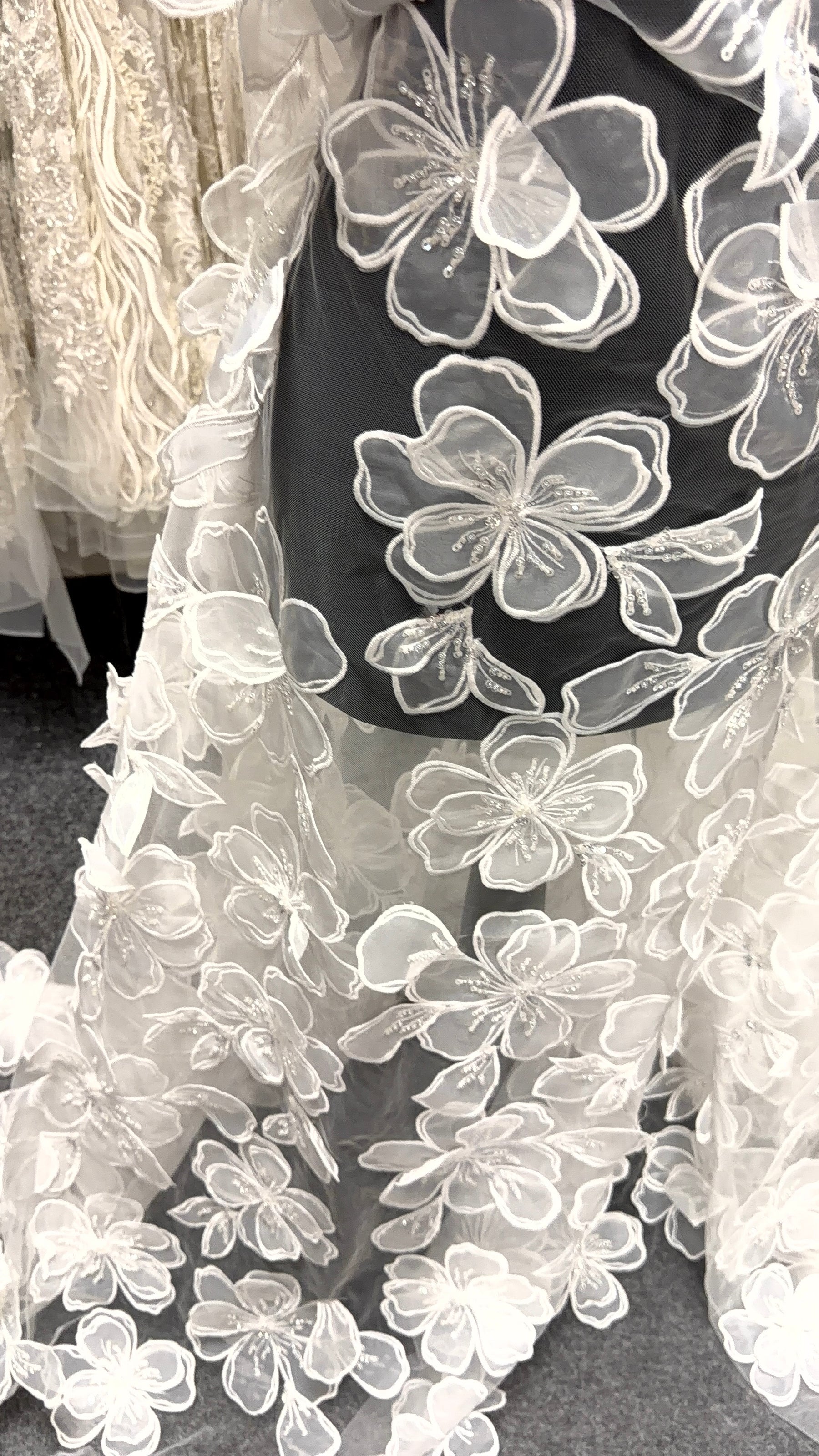 Ivory 3D Lace - Mickey