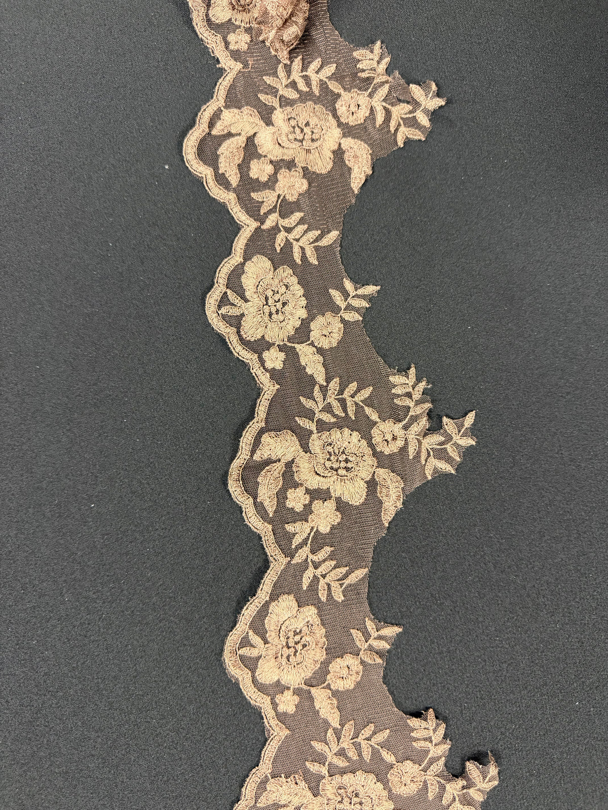 Chocolate Embroidered Edging - T131