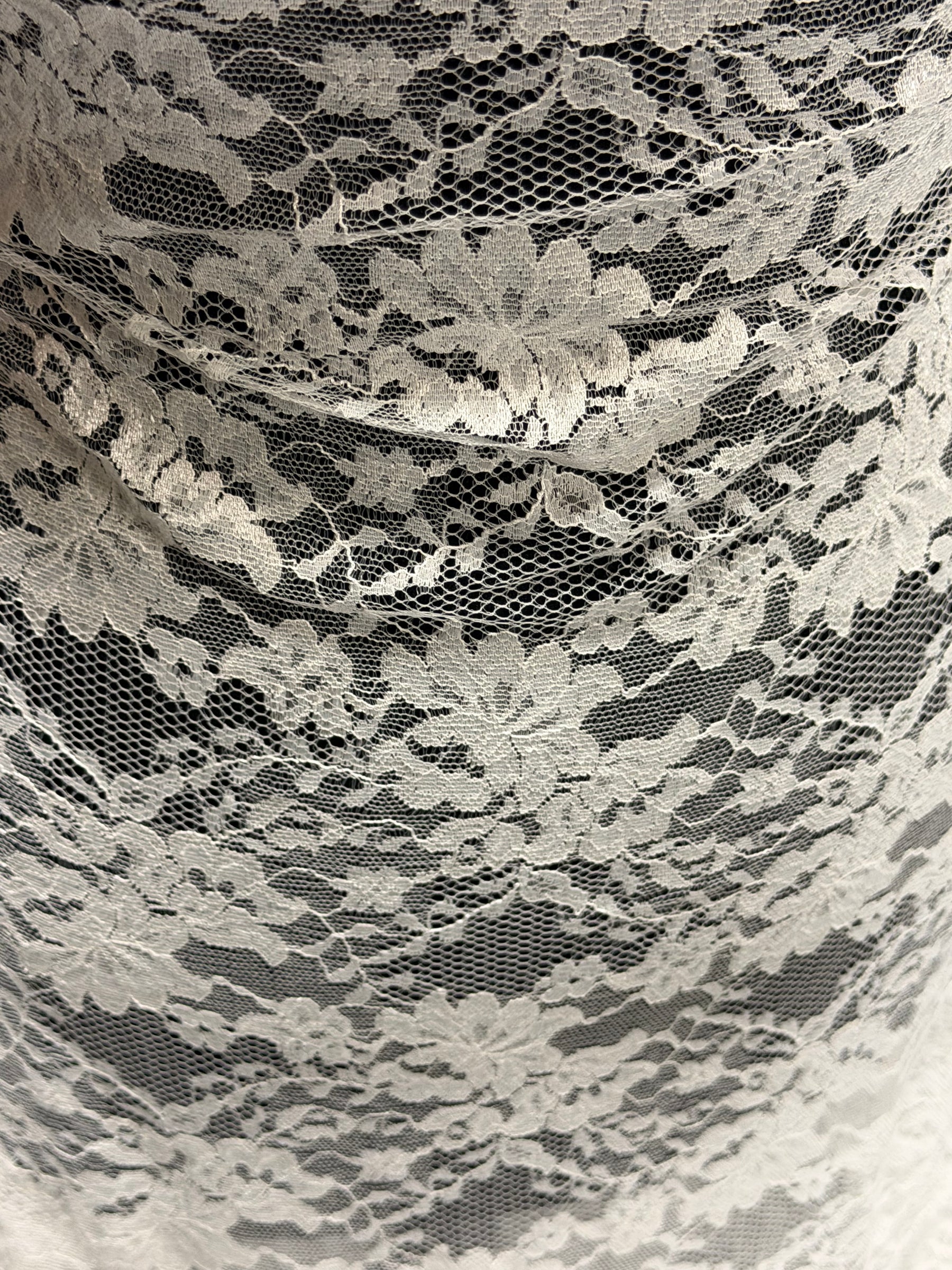 Pale Ivory Raschel Lace - P384