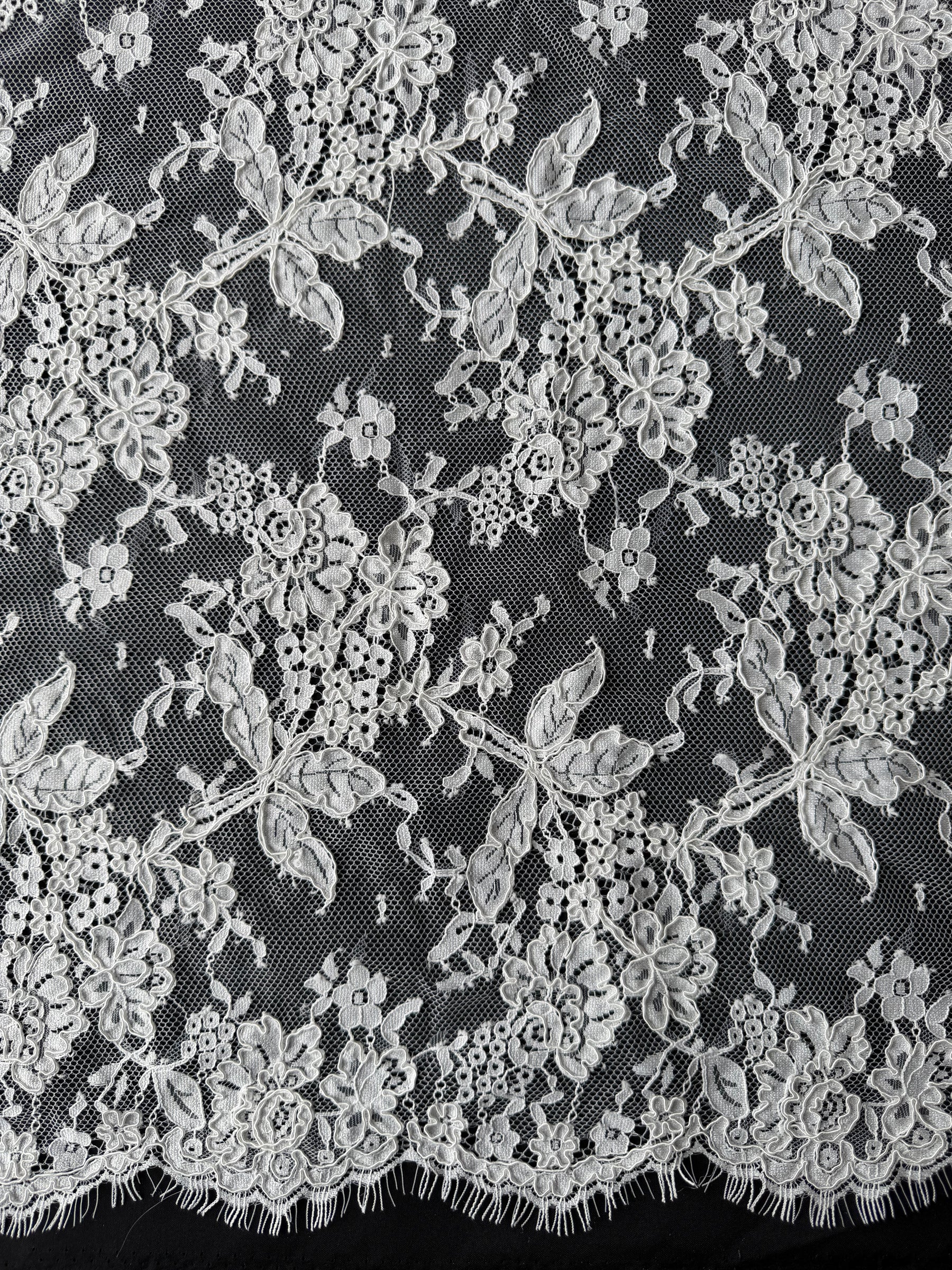Ivory Corded Lace - Jovi
