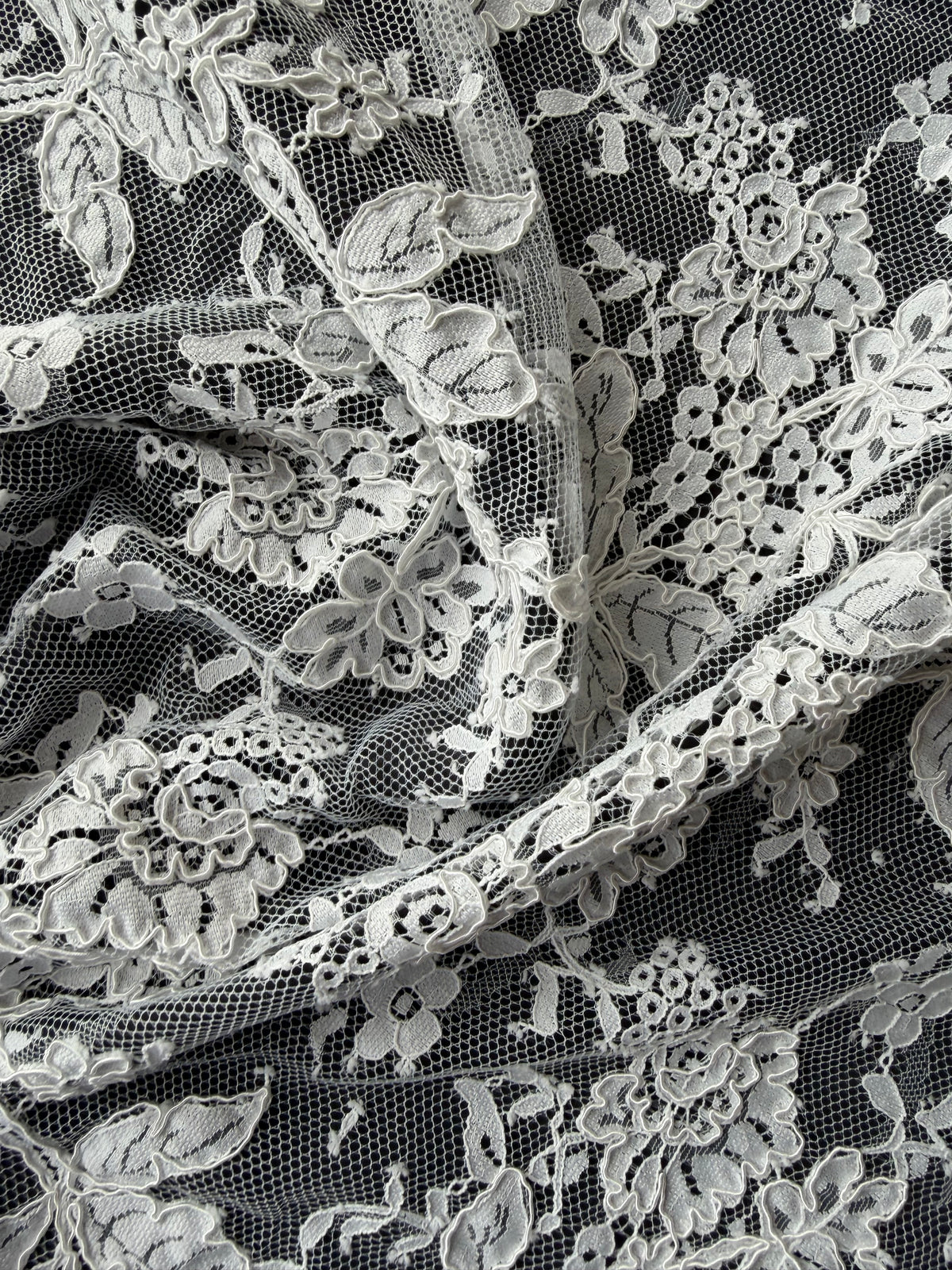 Ivory Corded Lace - Jovi