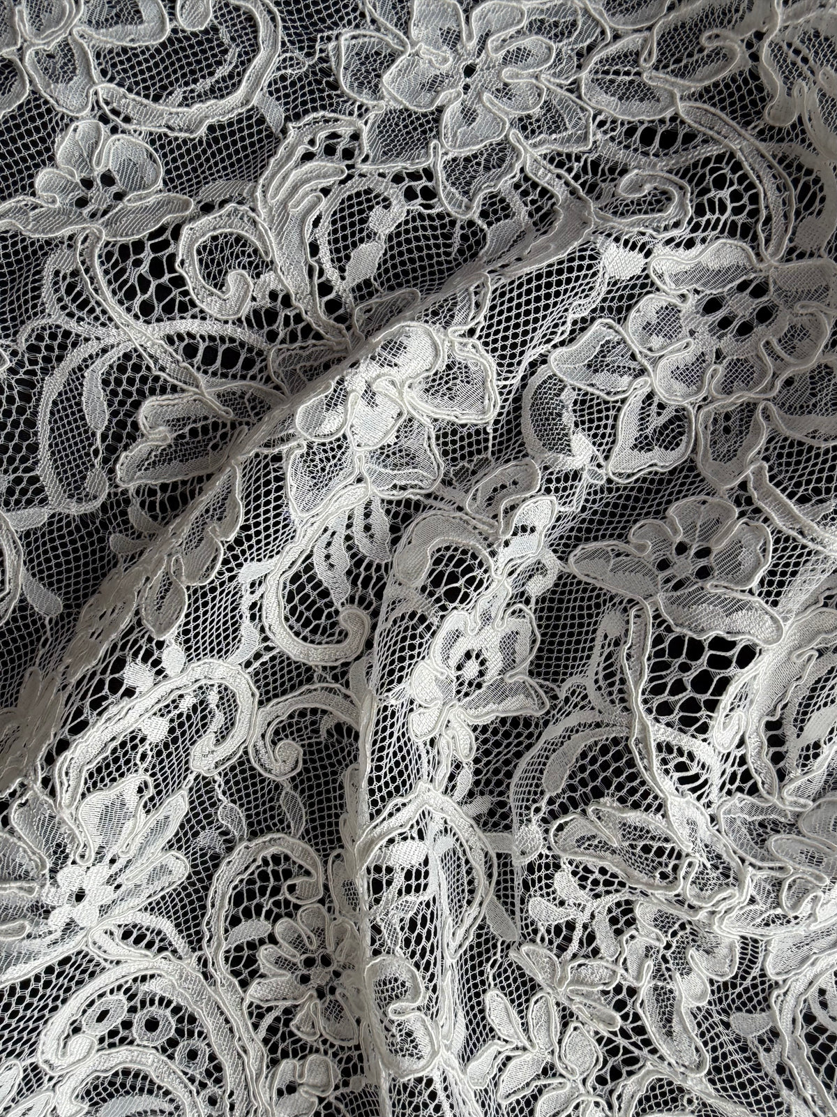 Ivory Corded Lace - P633