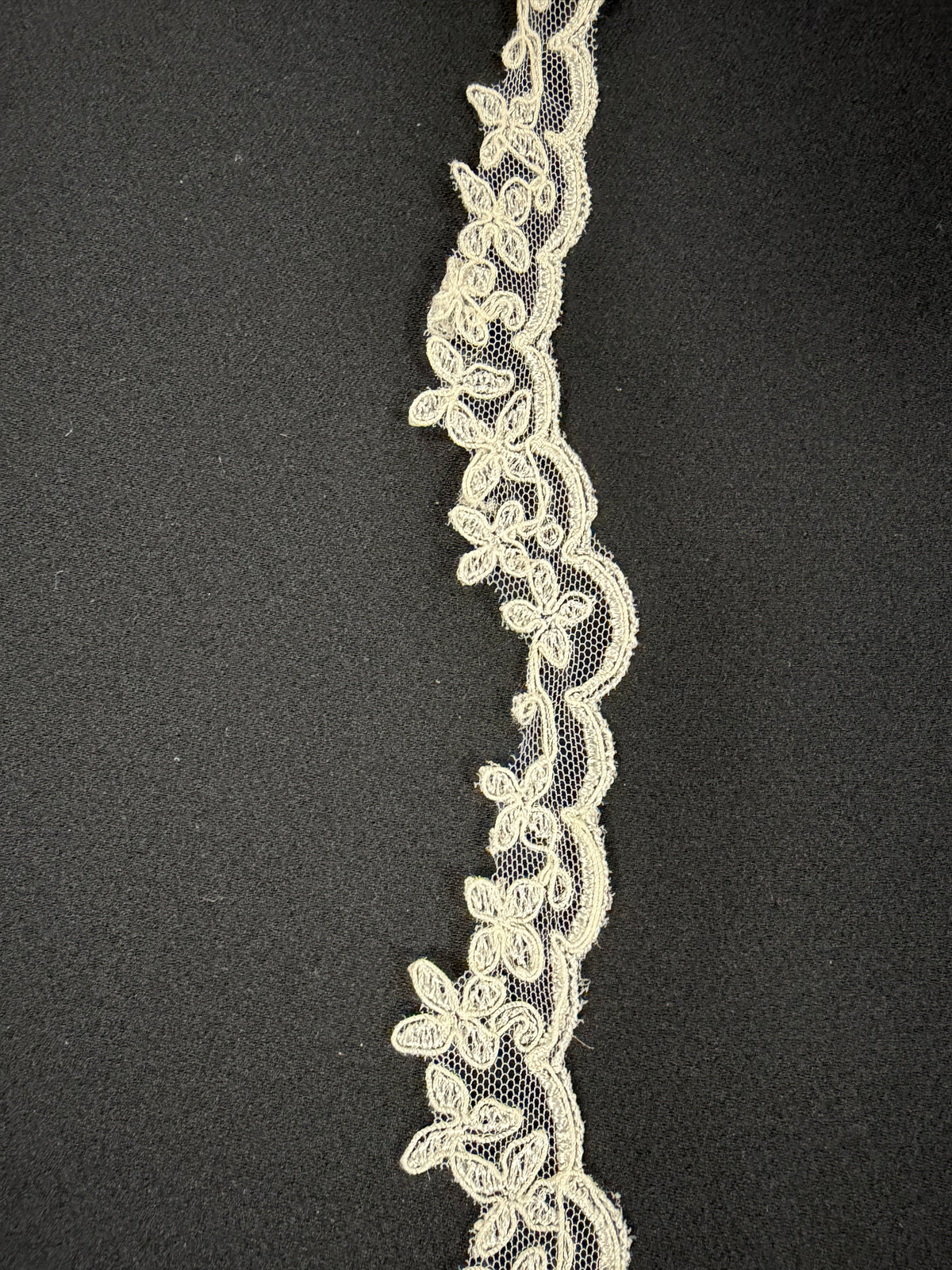 Ivory Corded Lace Trim - T88