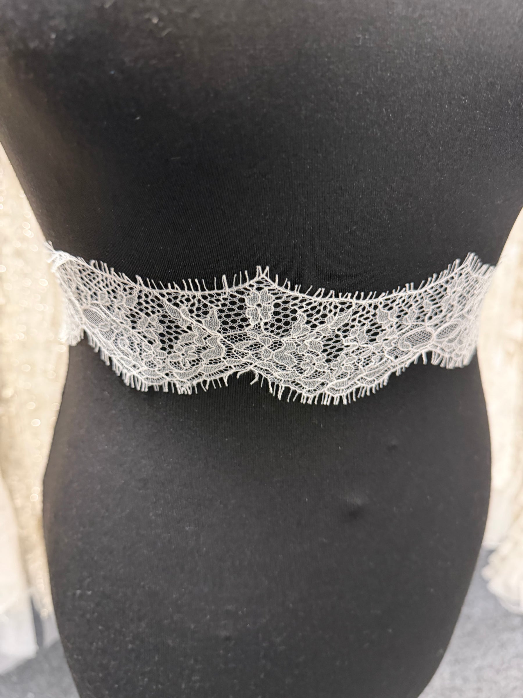 Ivory Chantilly Lace Trim - T439