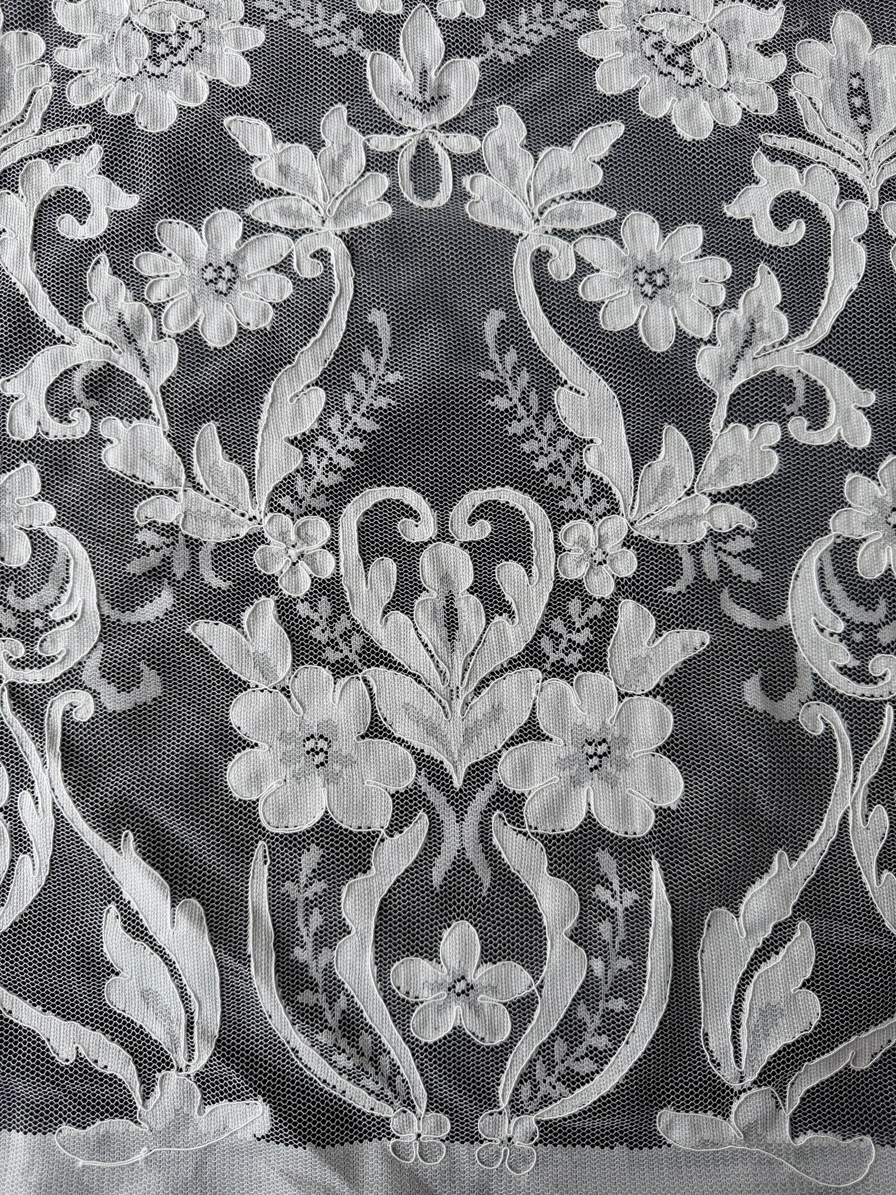 Ivory Corded Lace – Taylin