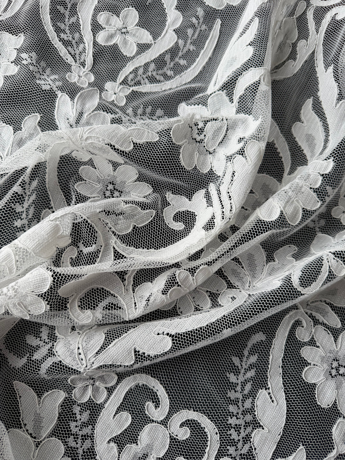 Ivory Corded Lace – Taylin