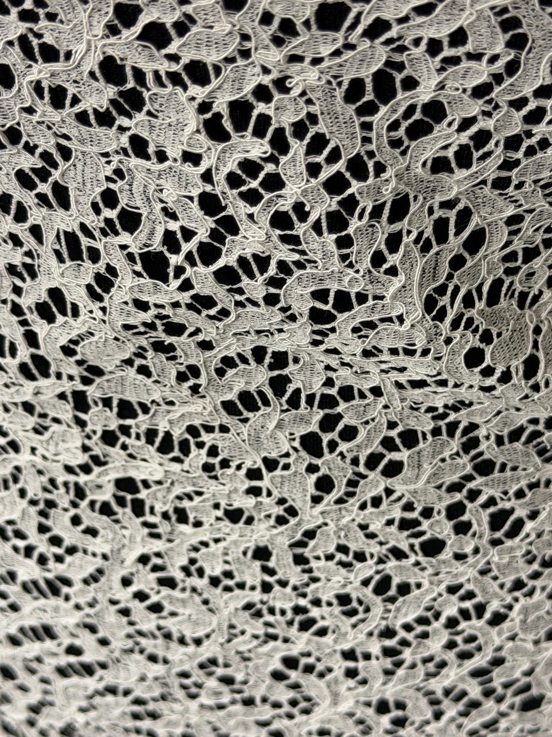 Ivory Corded French Lace - LA4005