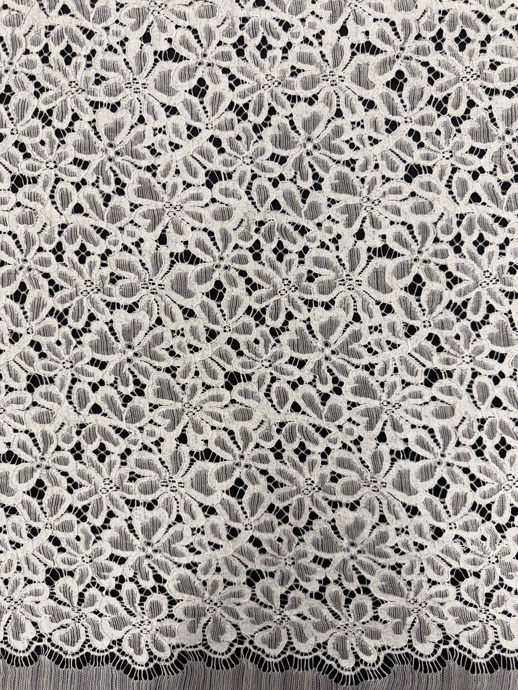 Ivory Corded French Lace - LA4006