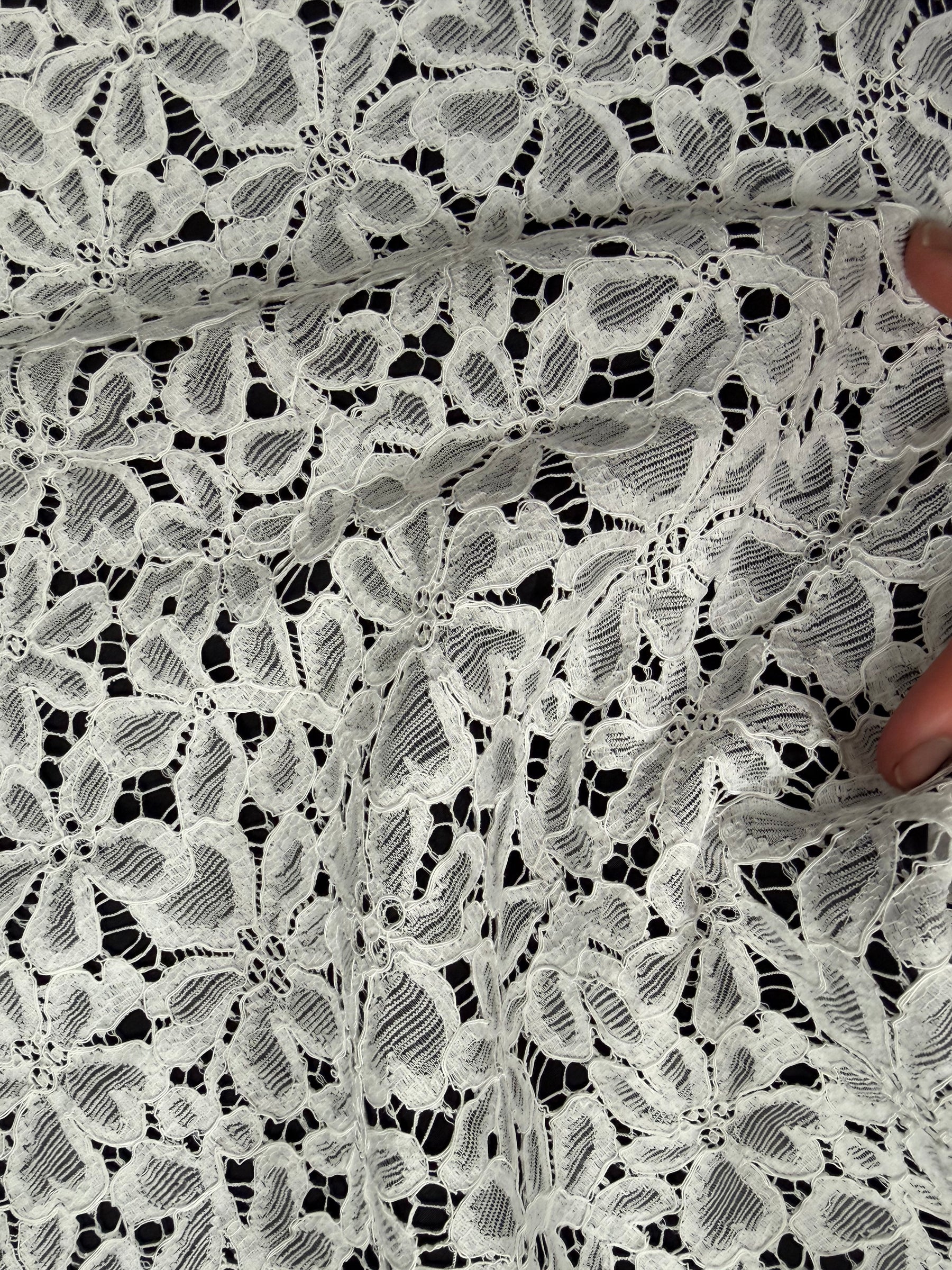Ivory Corded French Lace - LA4006