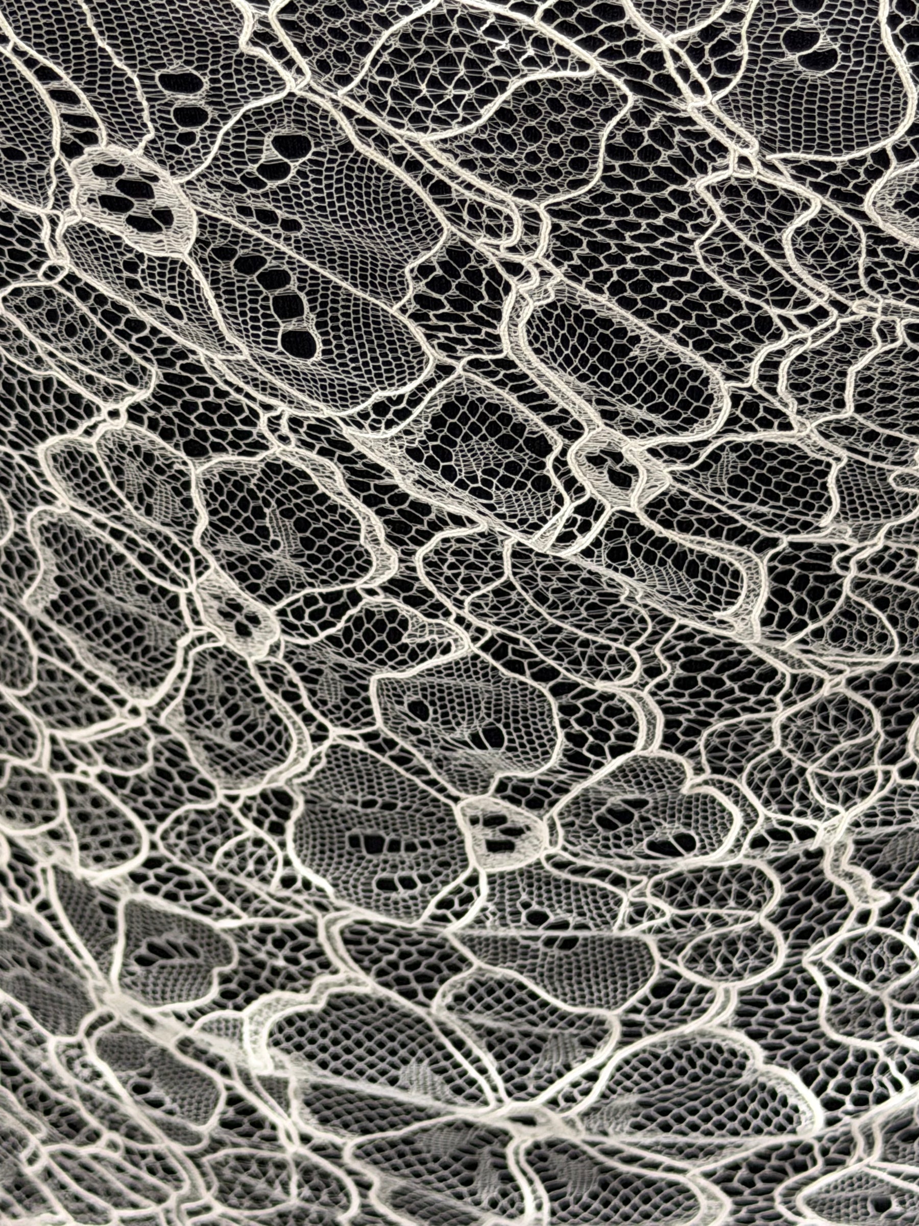 Ivory Corded Chantilly Lace - P727