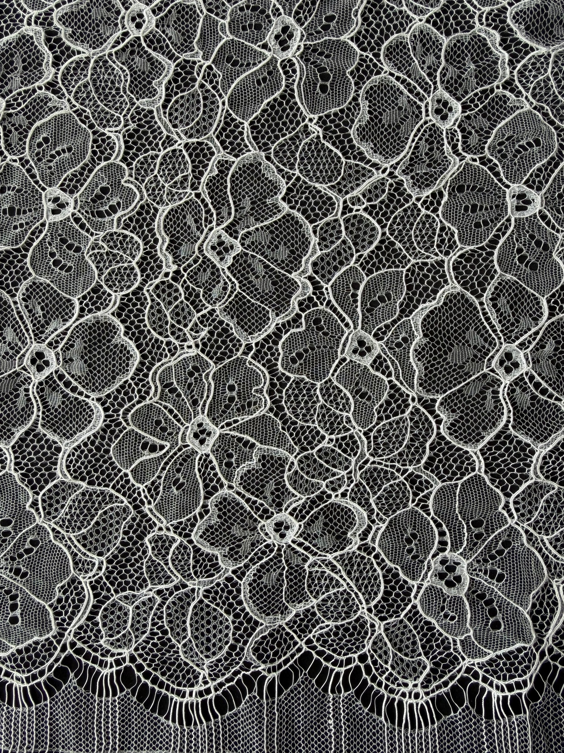 Ivory Corded Chantilly Lace - P727