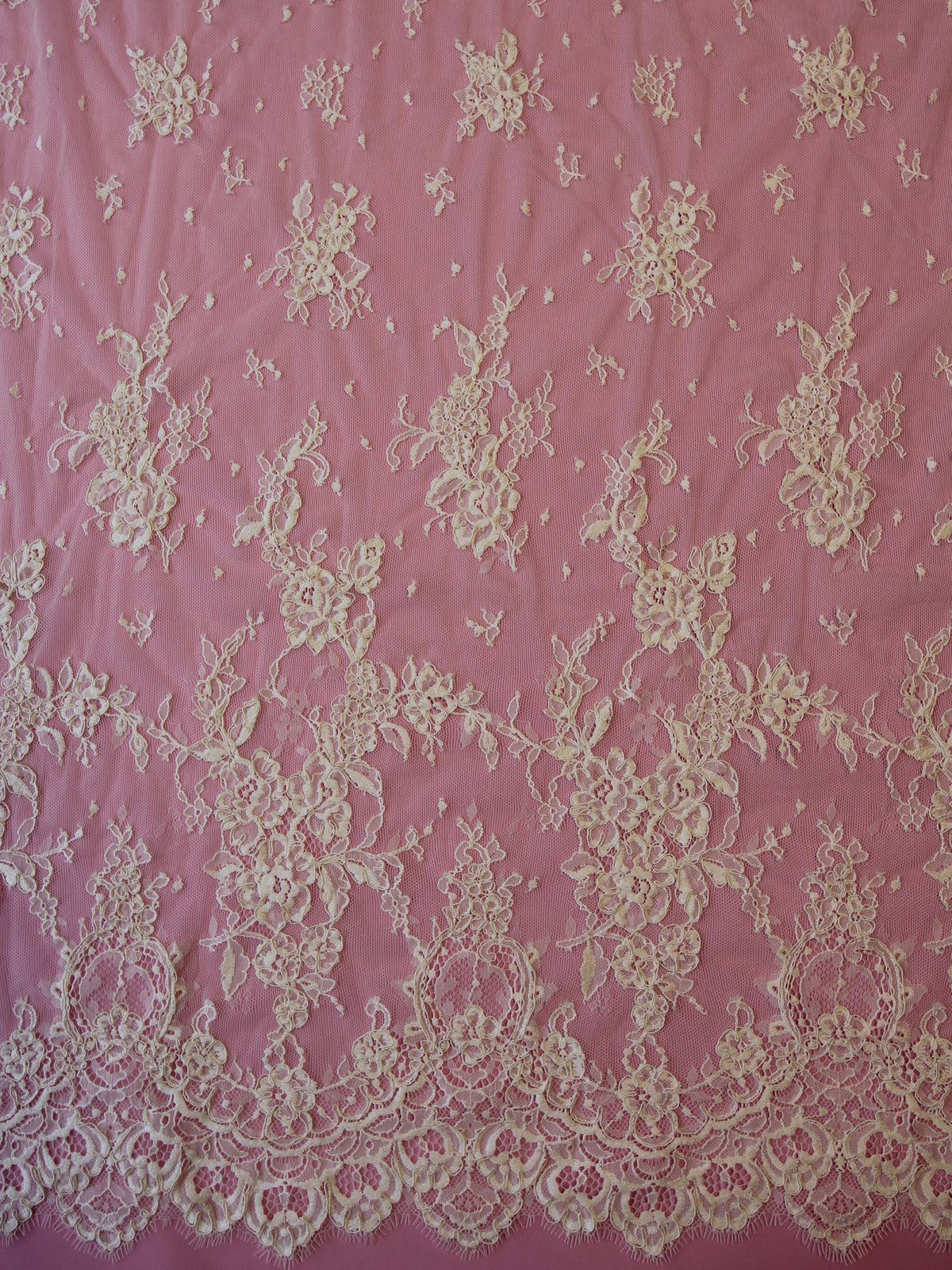 Ivory Corded Lace - Charmaine