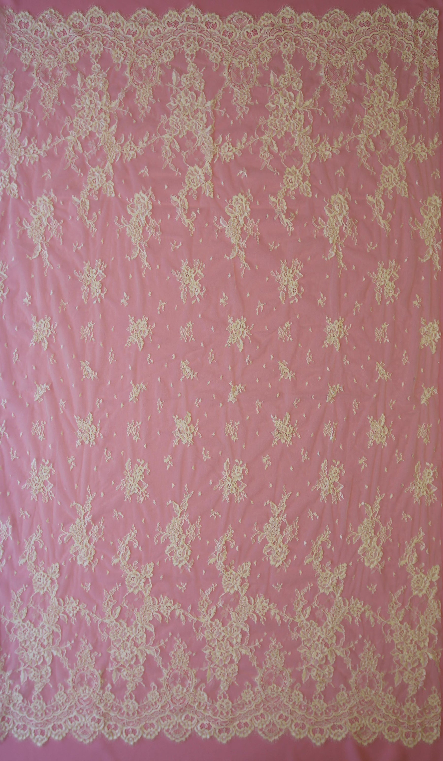 Ivory Corded Lace - Charmaine