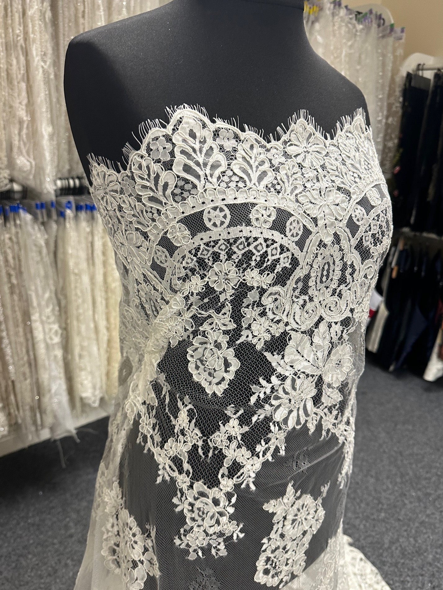 Discounted Ivory Corded Lace - Georgina