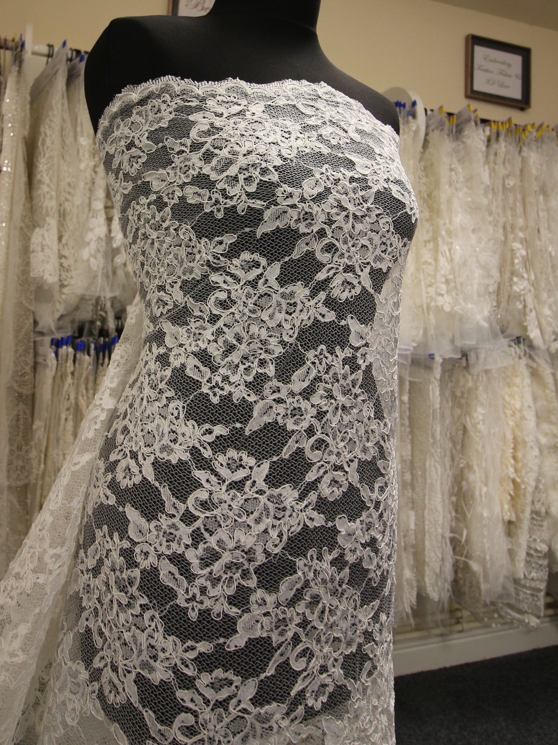 Ivory Corded Lace - Leah