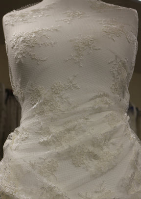 Ivory Corded Lace - Ottilie