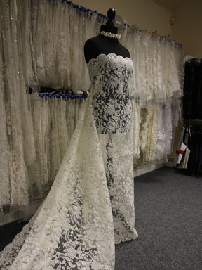 Ivory Corded Lace - Vanessa