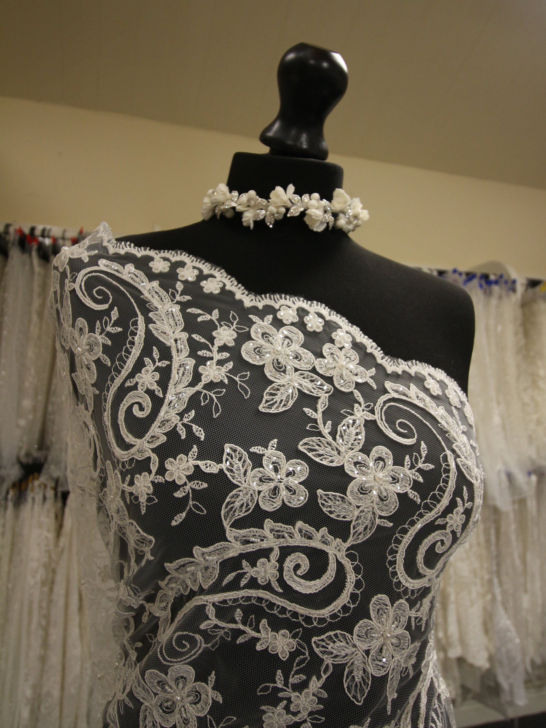 Discounted Ivory Corded and Beaded Lace - Reagan