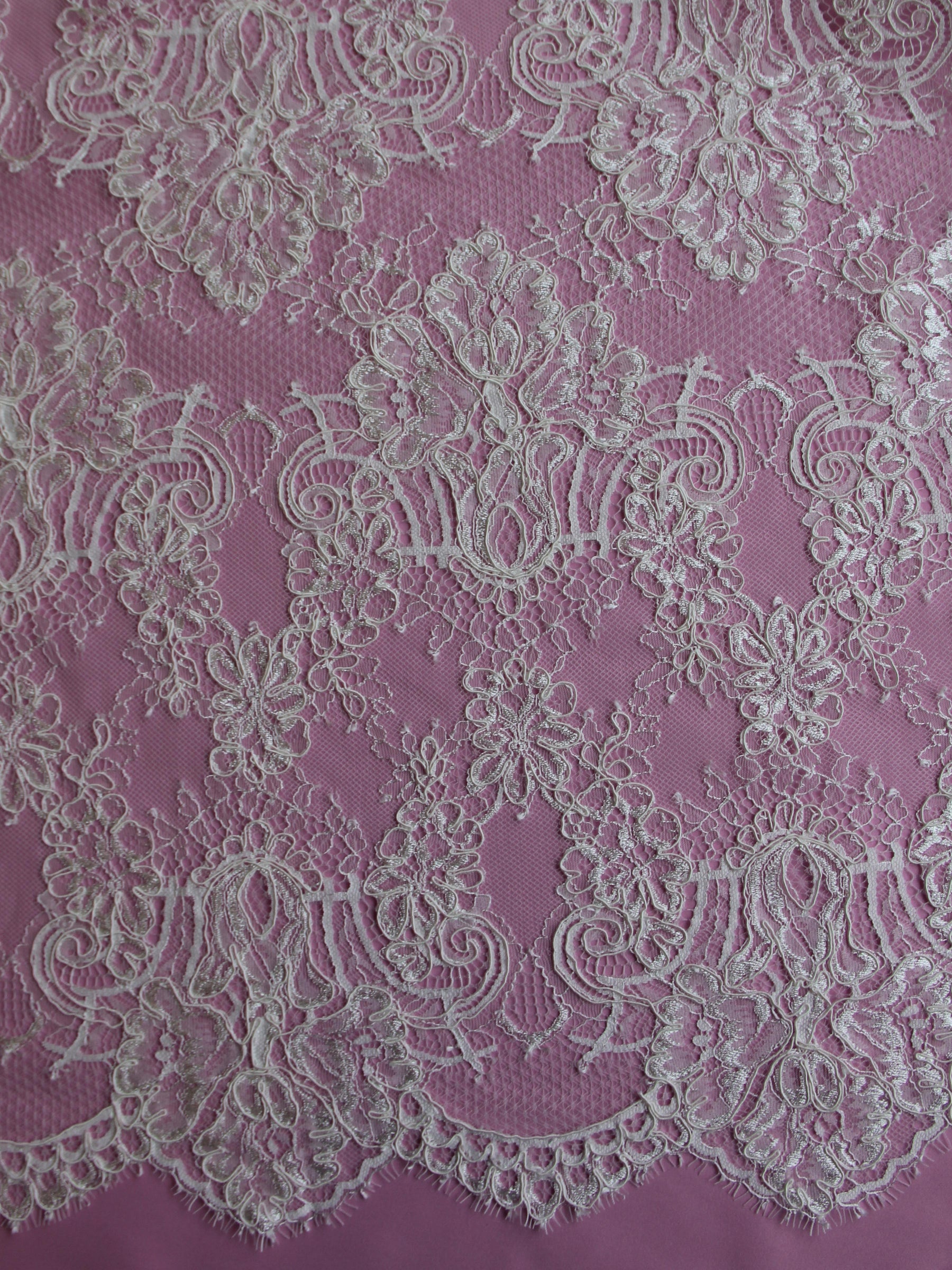 Discounted Ivory Corded Lace - Karen