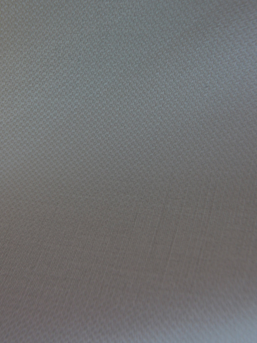 Ivory Silk Organza Punto