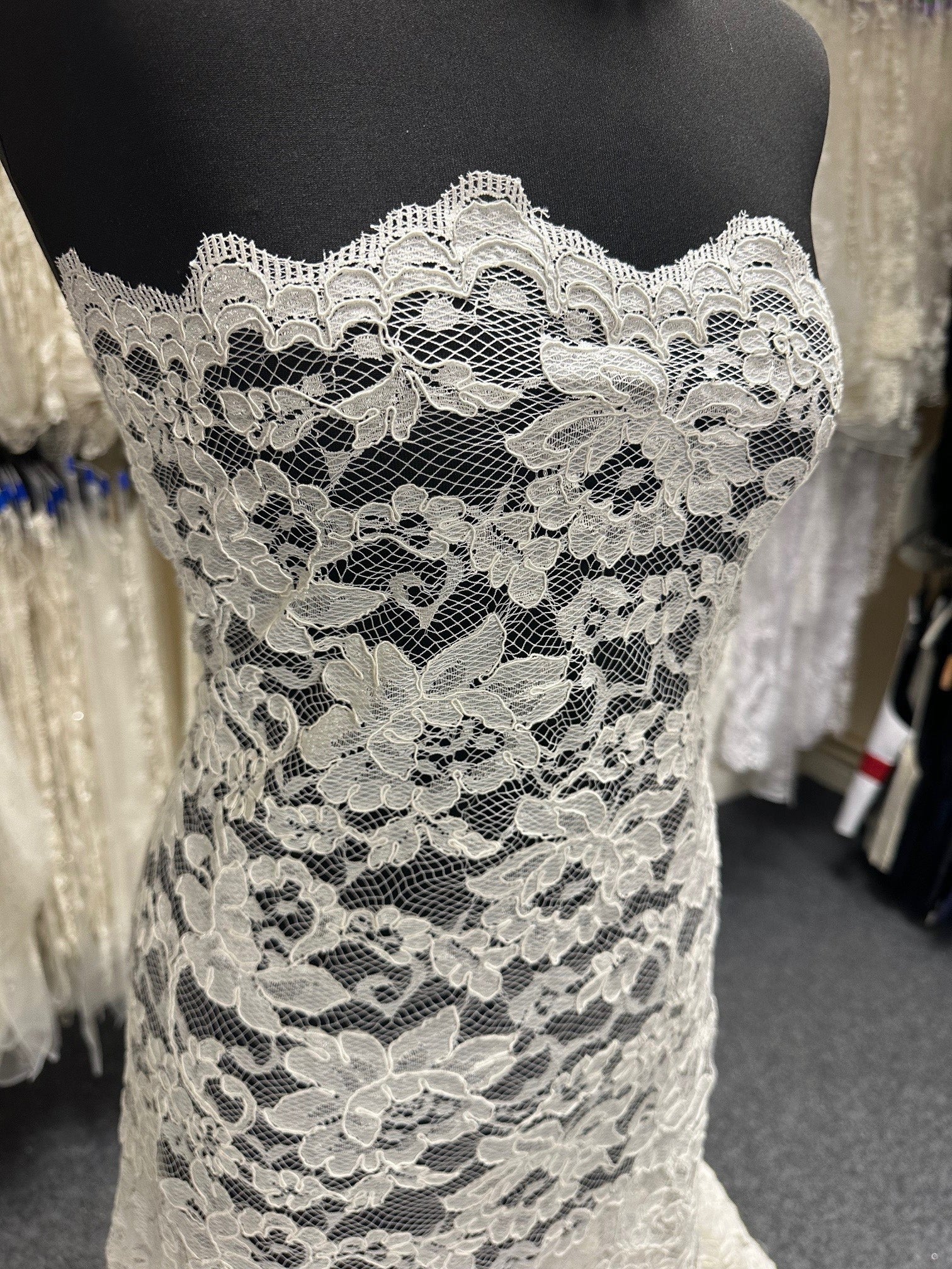 Ivory Corded Lace – Dawn