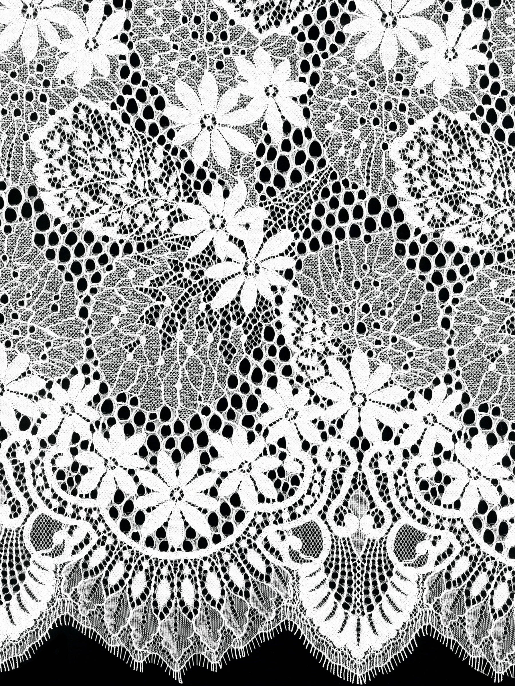 Ivory Lace - LA1013
